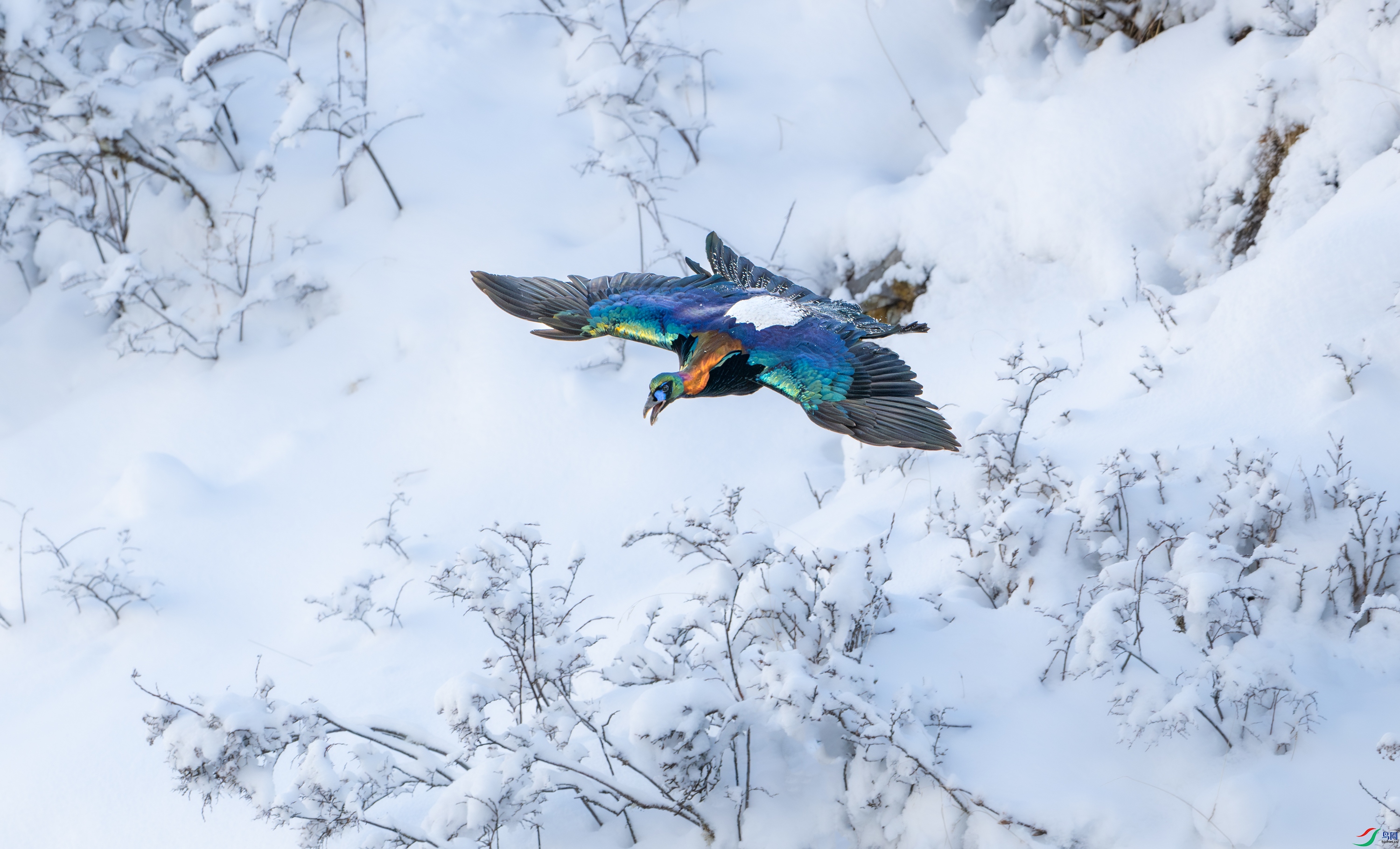 DSC_8914-21.jpg