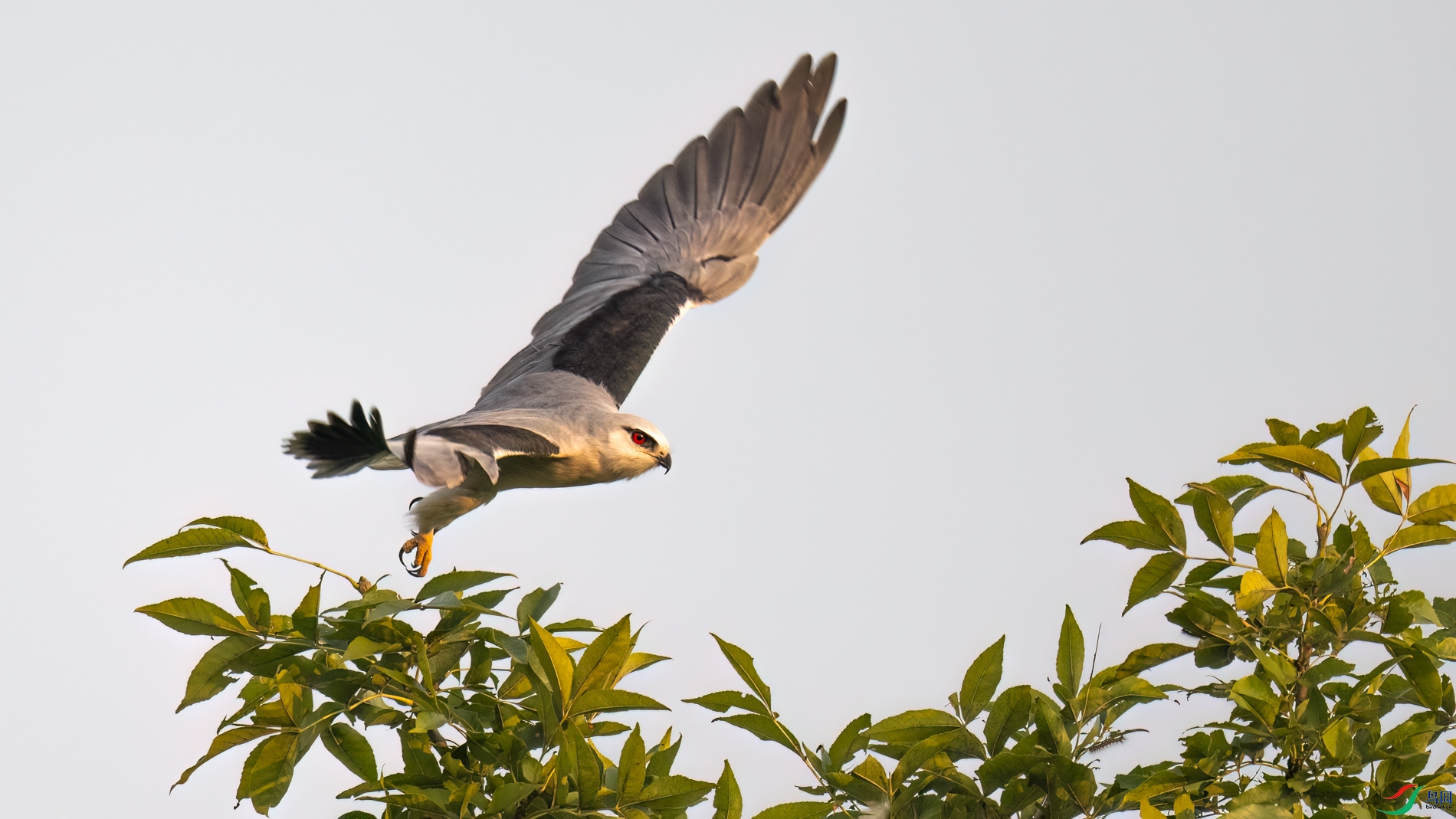DSC_3370sen2026-9-21-05-�༭.jpg