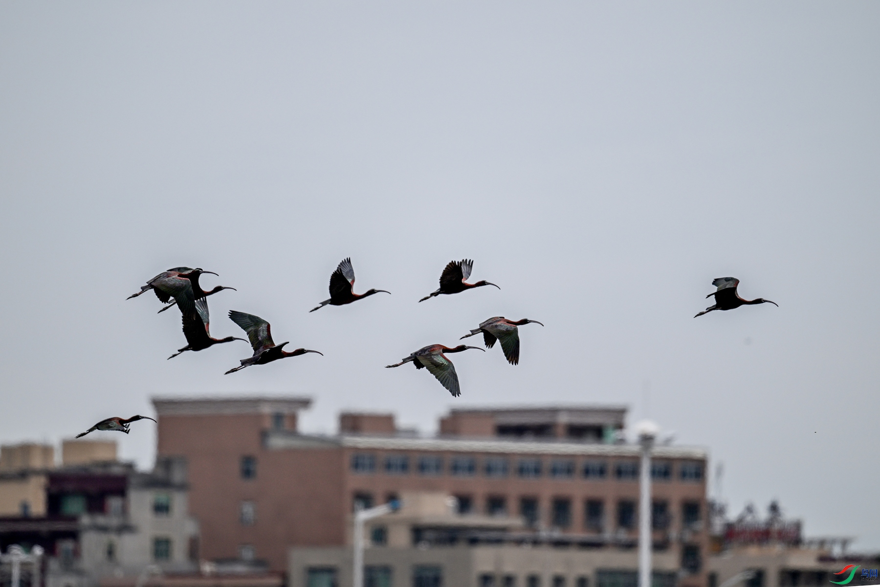 DSC_8382.JPG