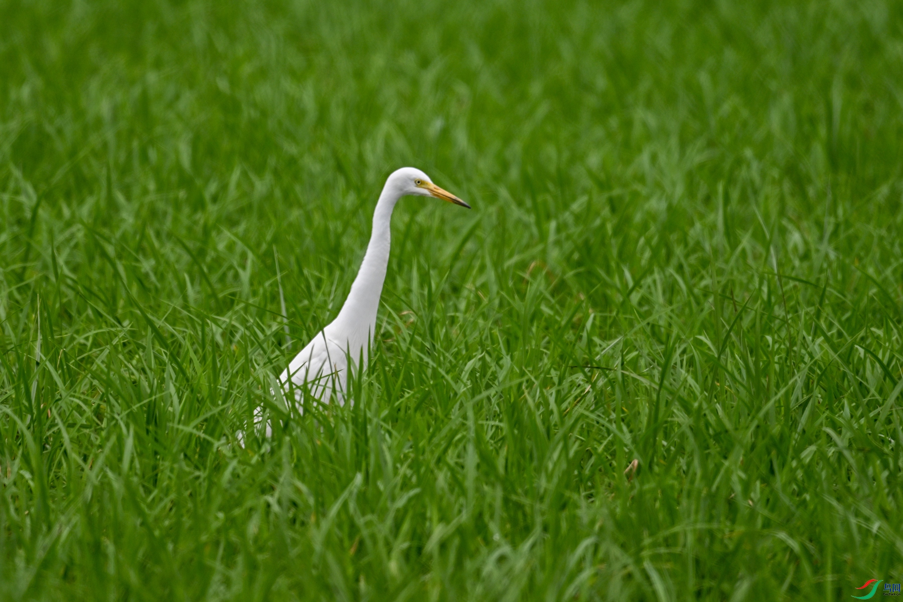 DSC_8421.JPG