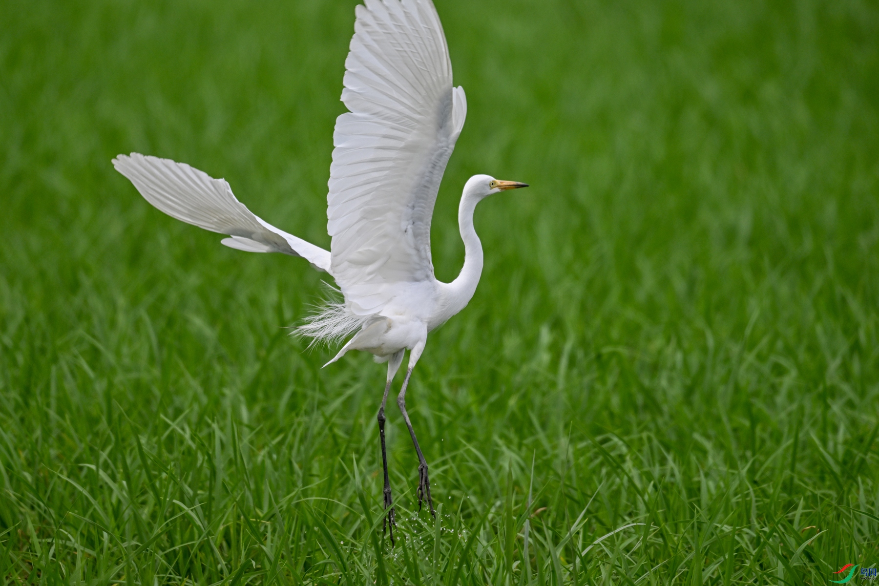 DSC_8429.JPG