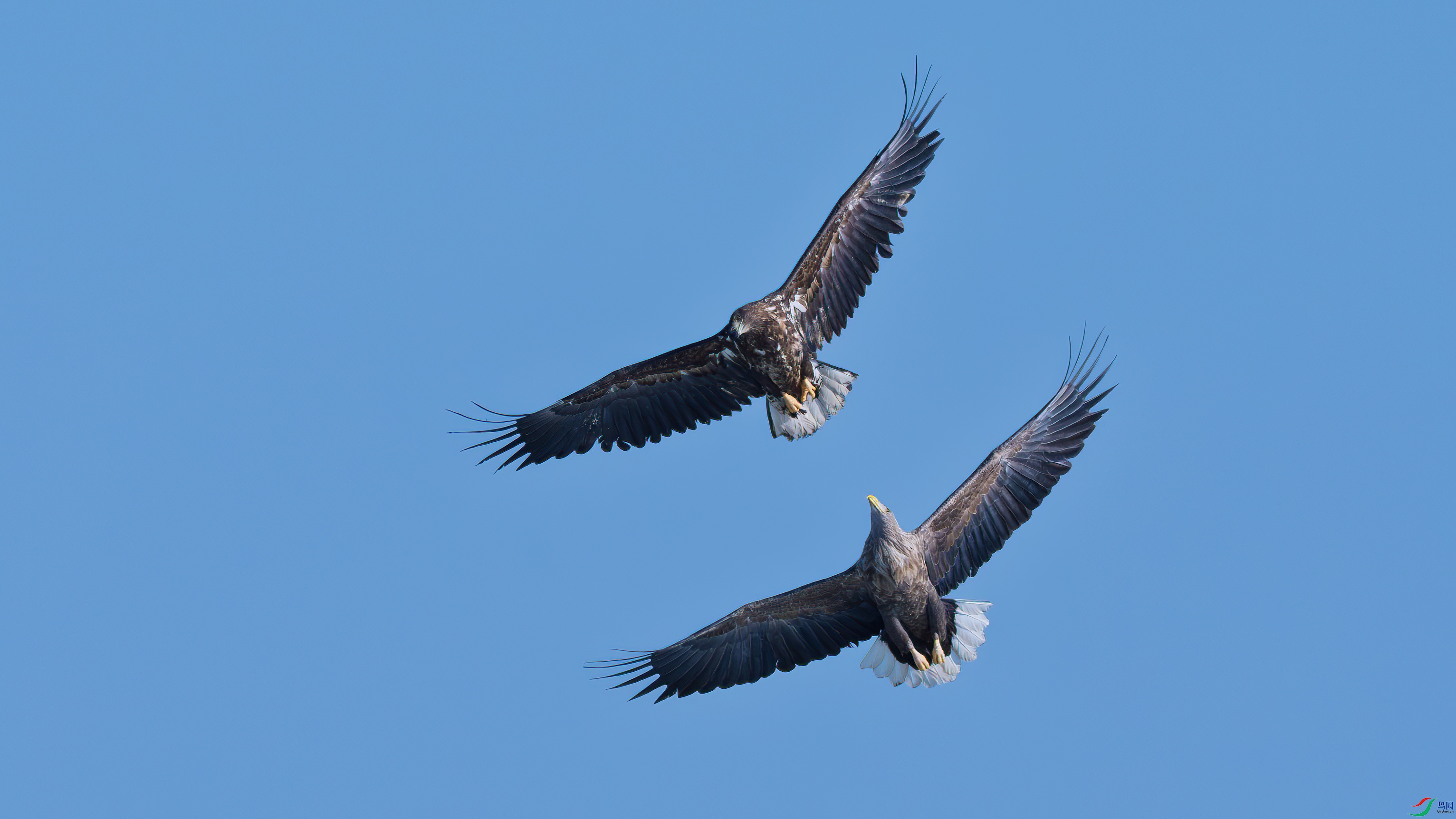 DSC08811-1.jpg