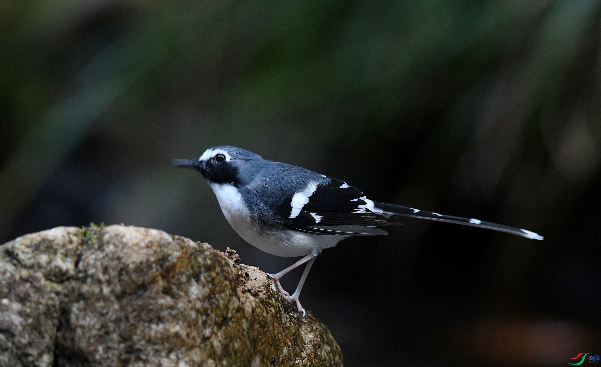 DSC_7253.jpg