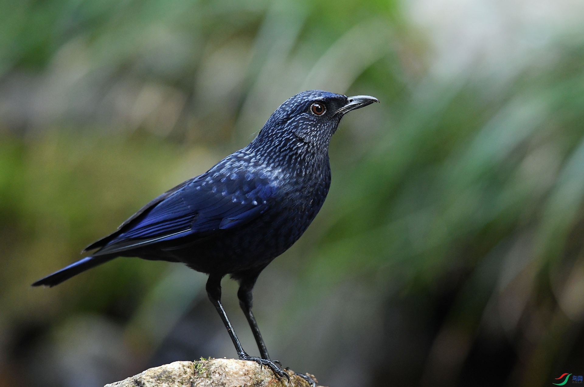 DSC_7301.jpg