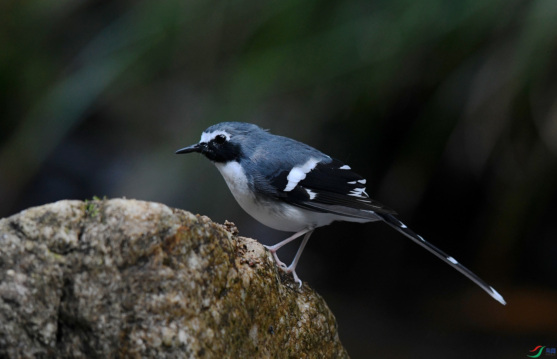 DSC_7254.jpg