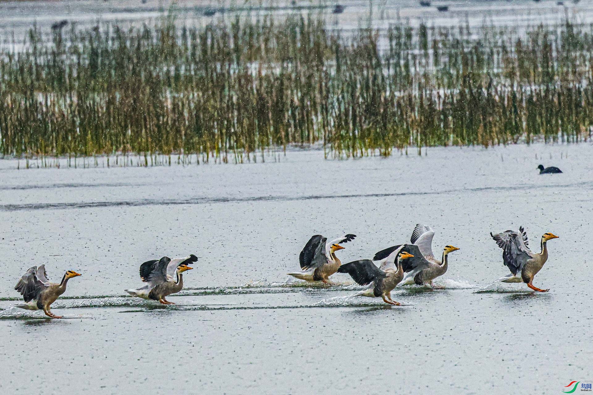 3D9A3604-1.jpg