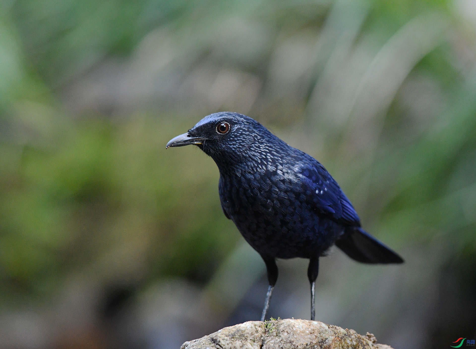 DSC_7297.jpg