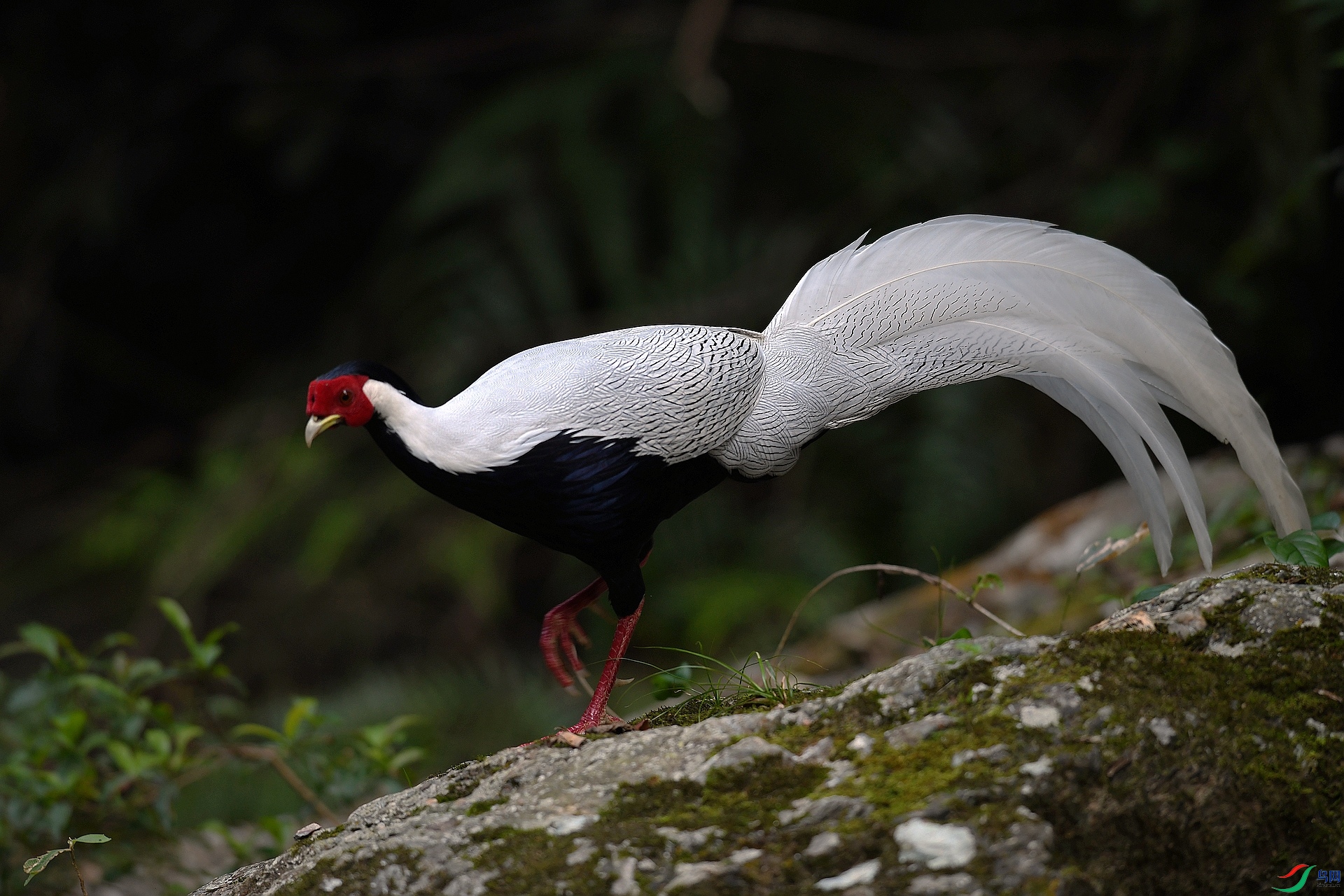 DSC_6474.jpg