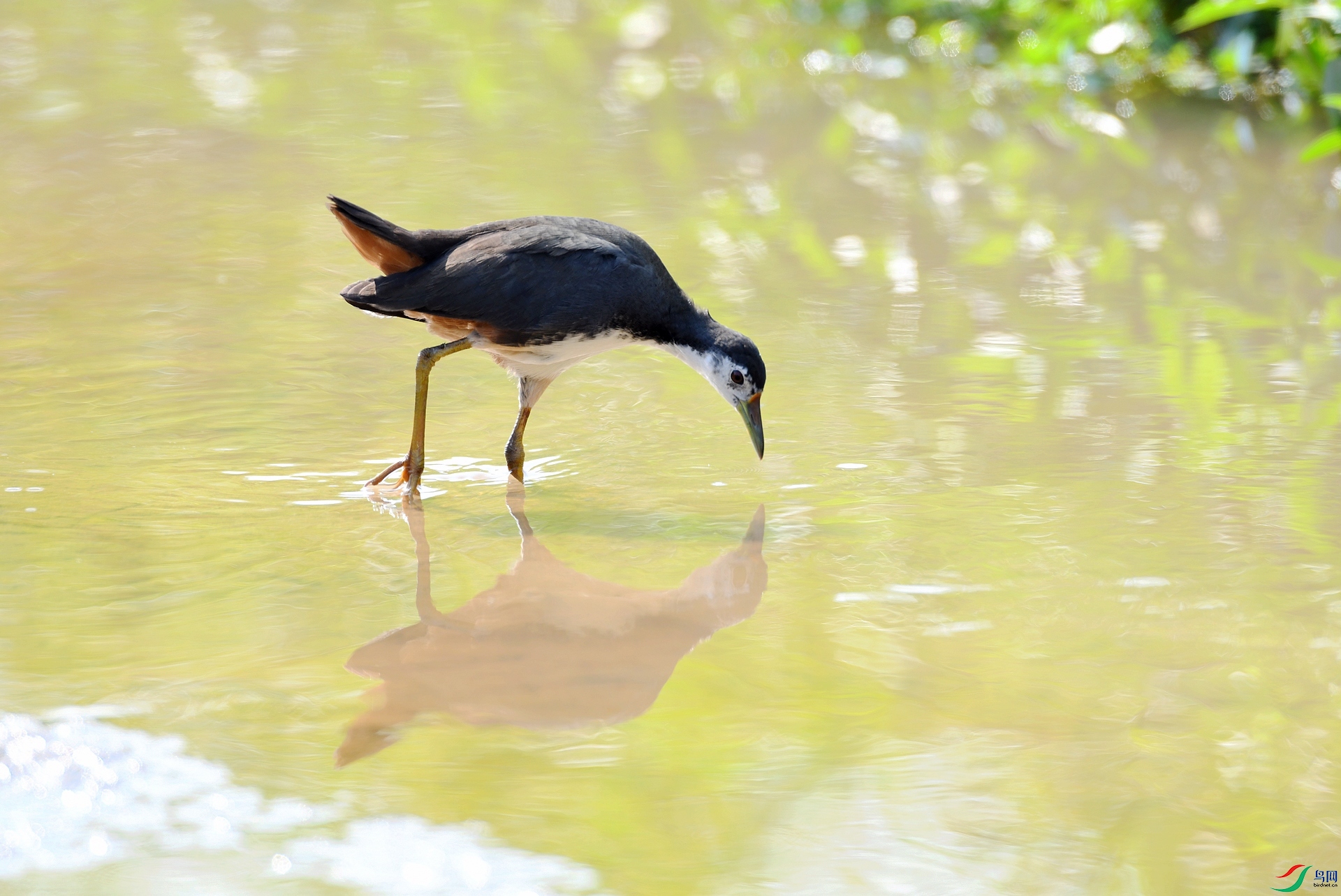 DSC_1298.jpg