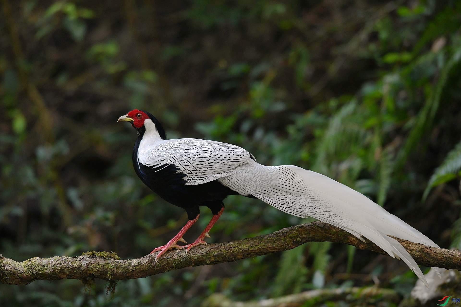 DSC_6177.jpg