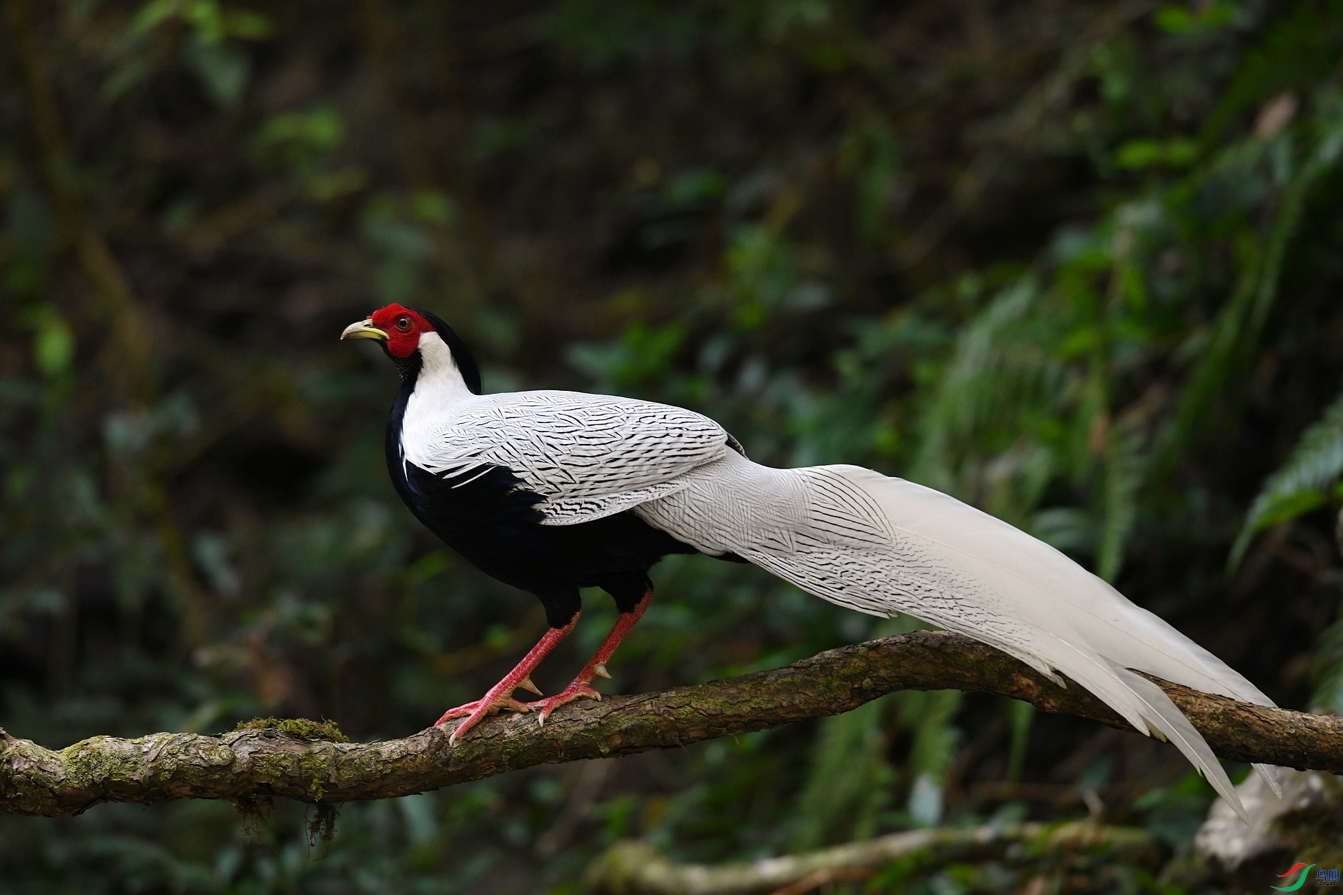 DSC_6176.jpg