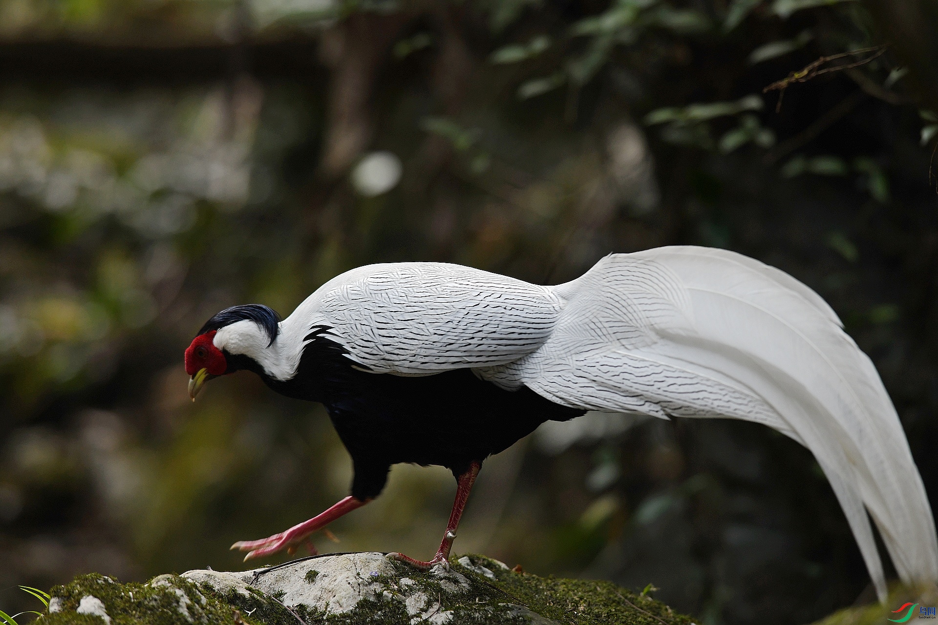 DSC_6144.jpg