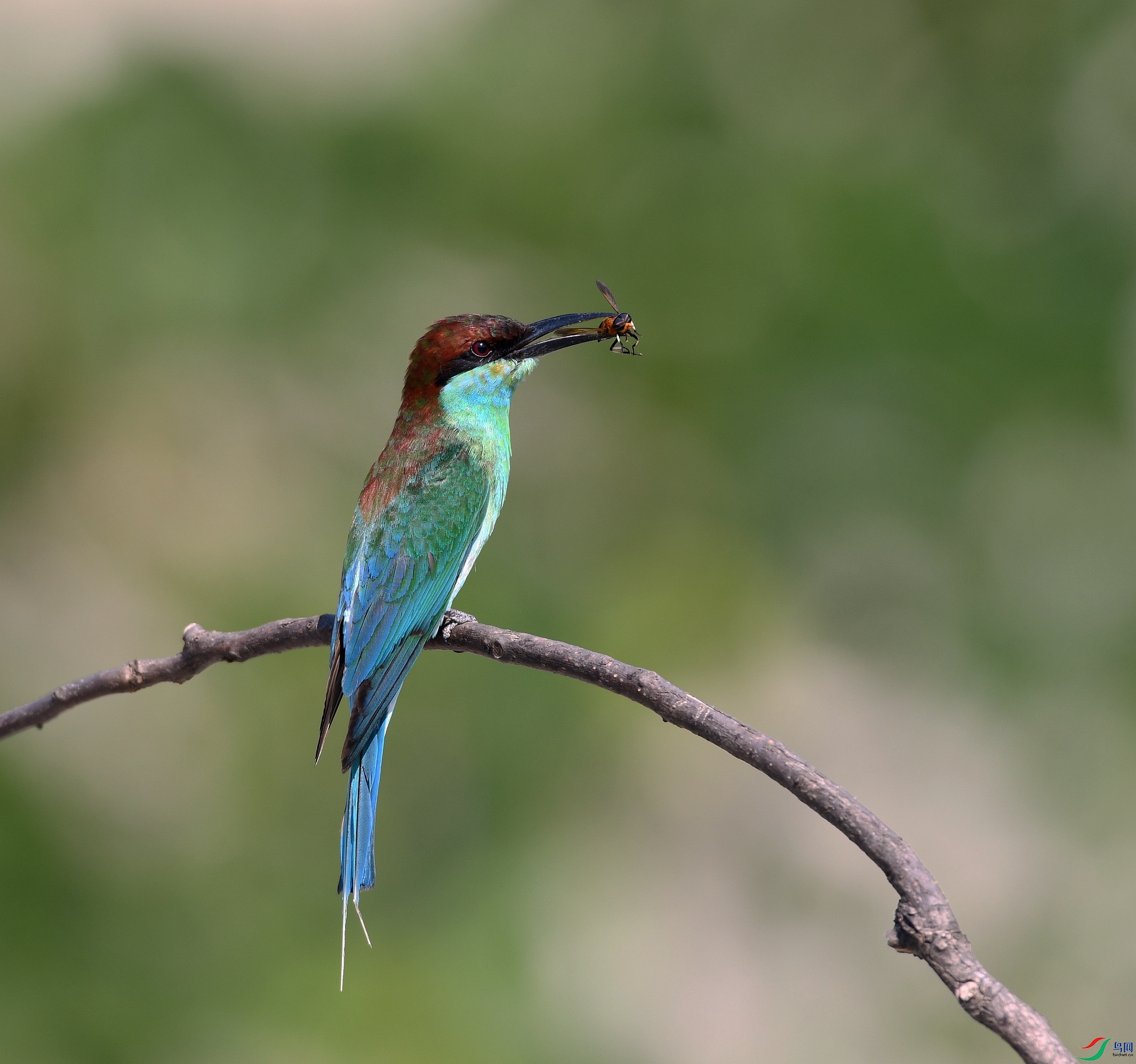 DSC_5116.jpg