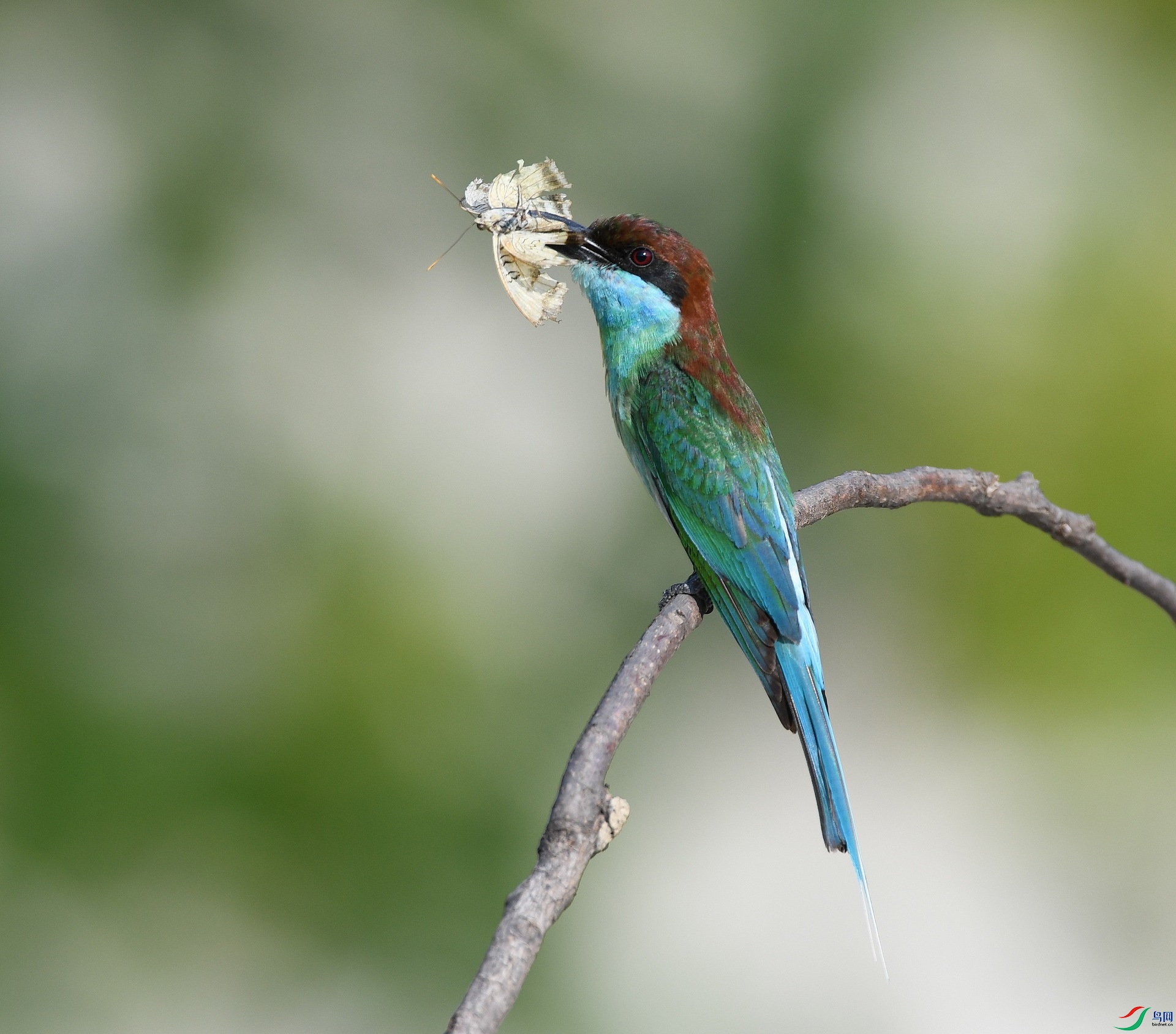 DSC_2877.jpg
