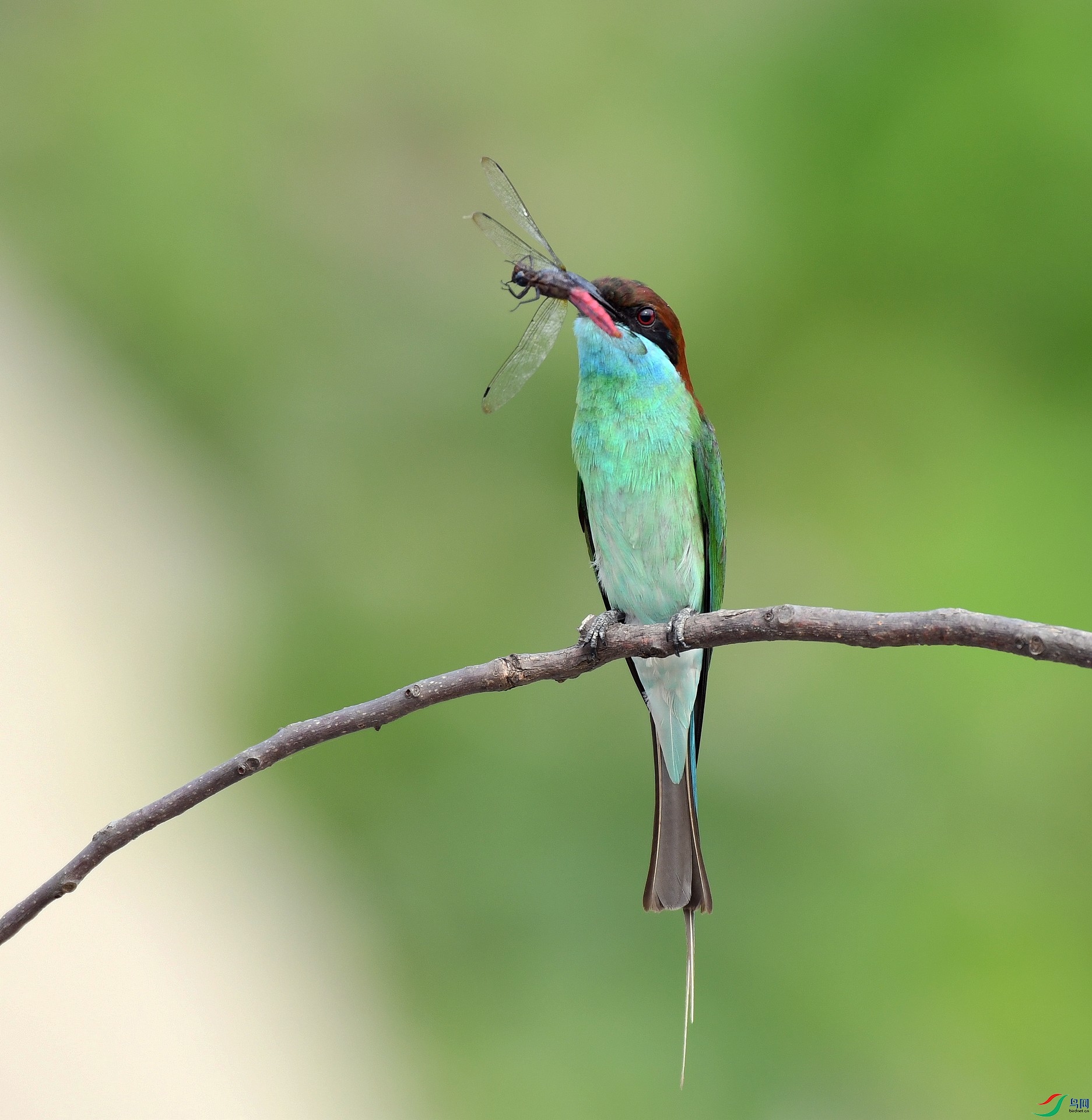 DSC_2872.jpg