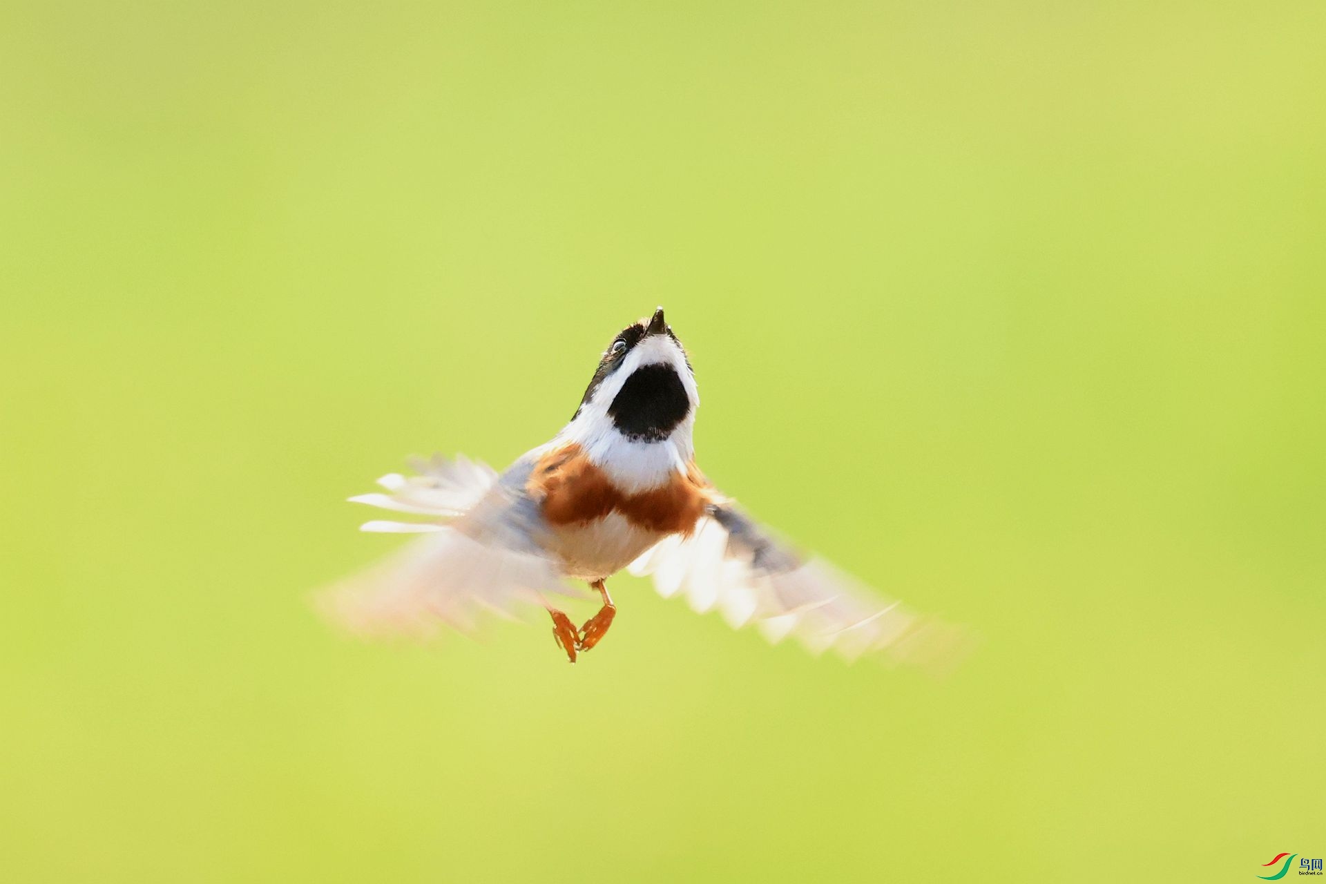 3B6A4878_����.jpg