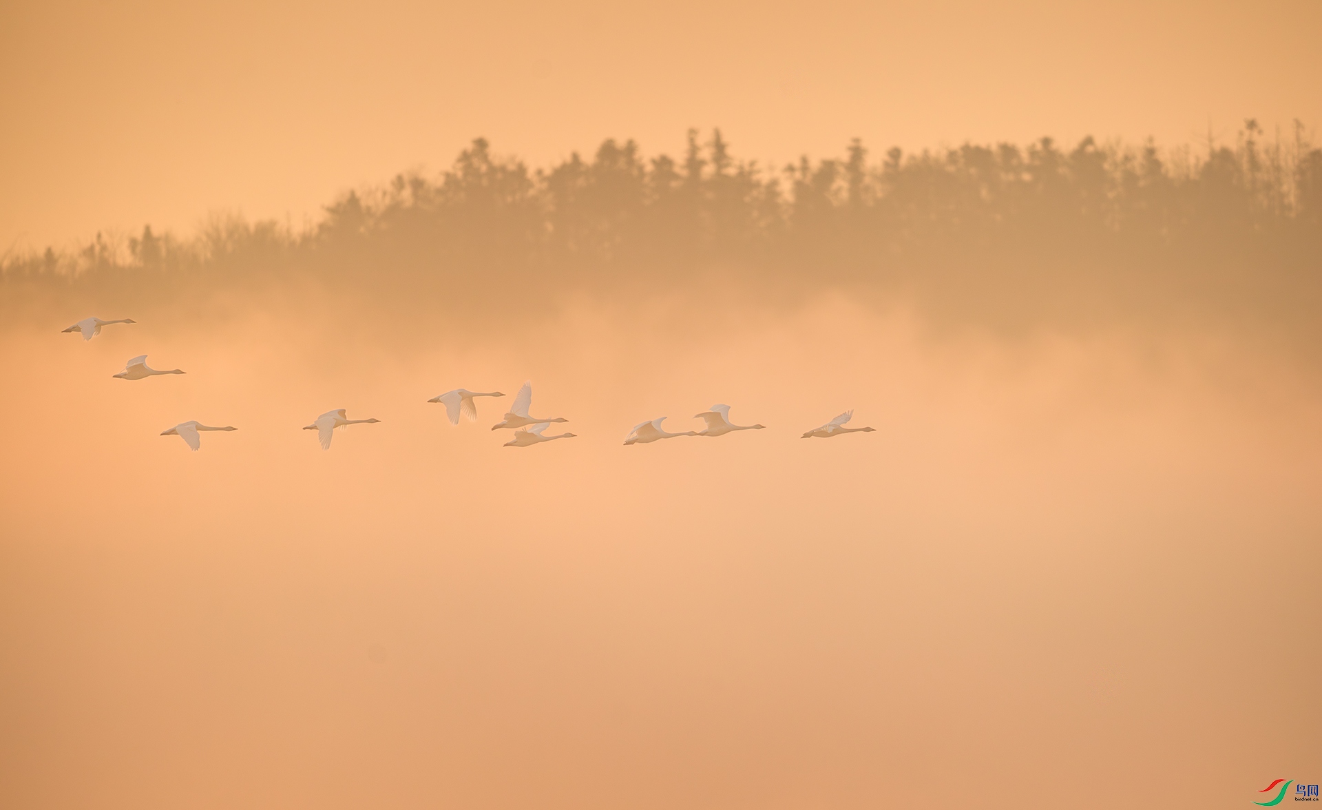 DSC_7110.jpg