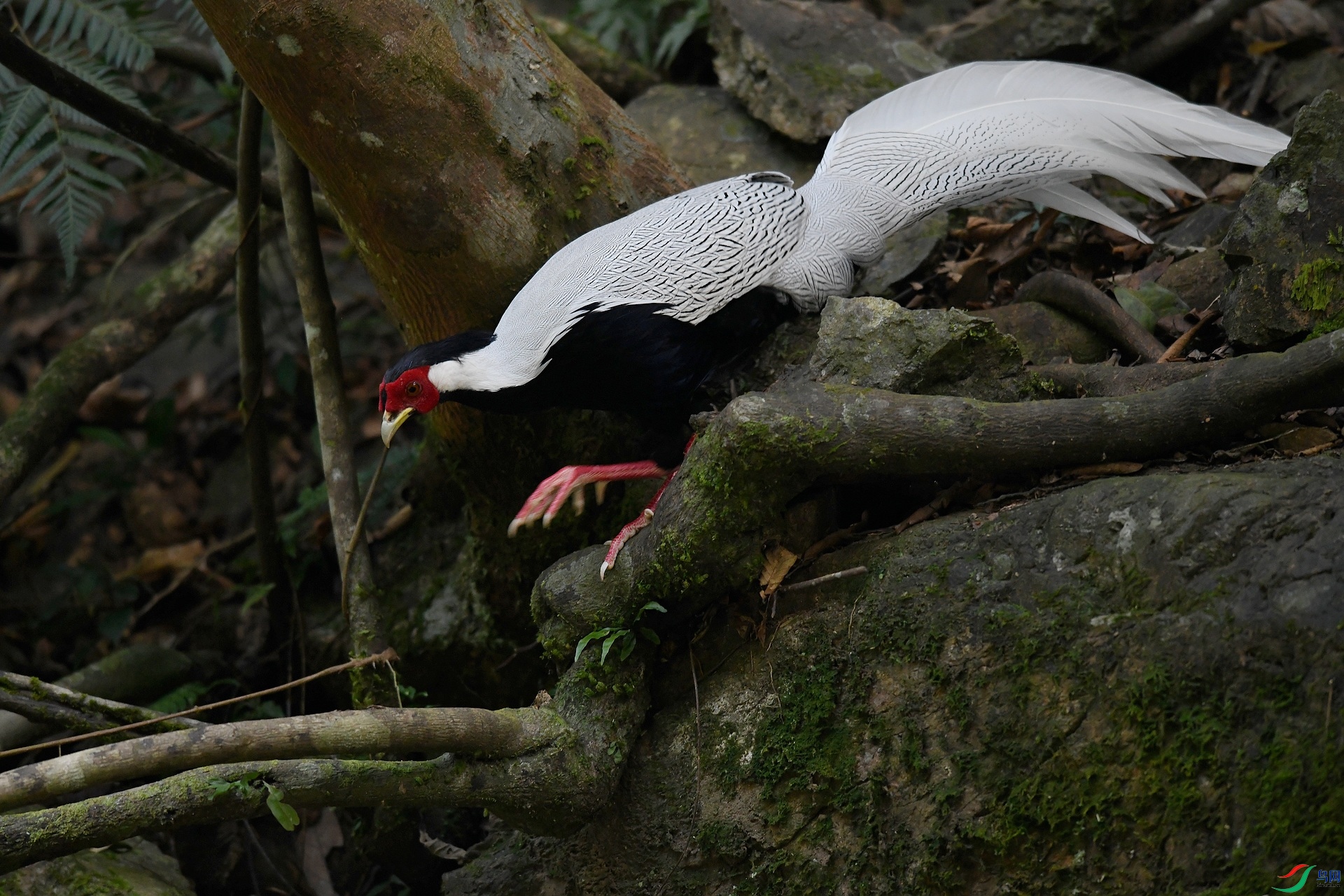 DSC_5999.jpg