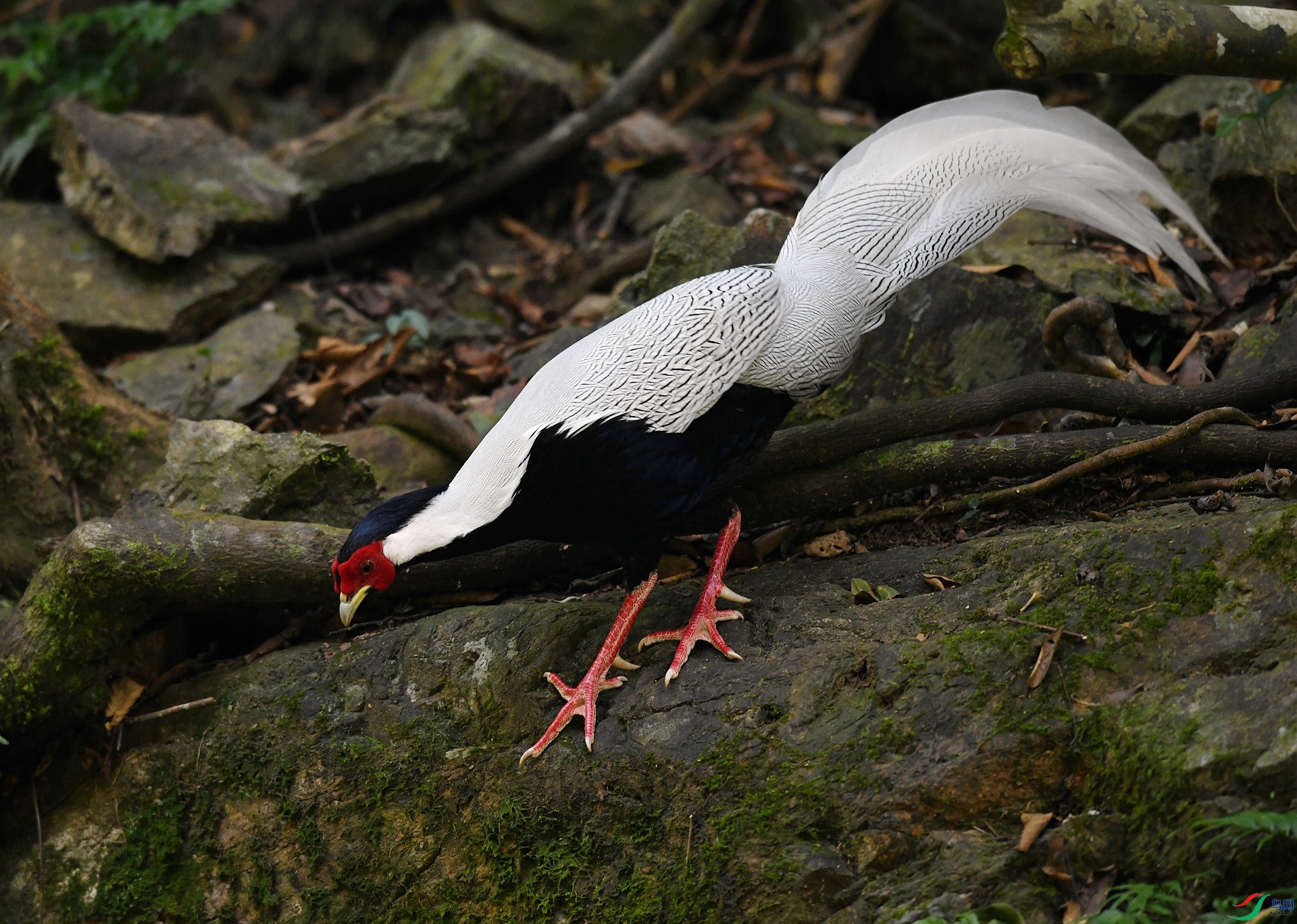 DSC_5882.jpg
