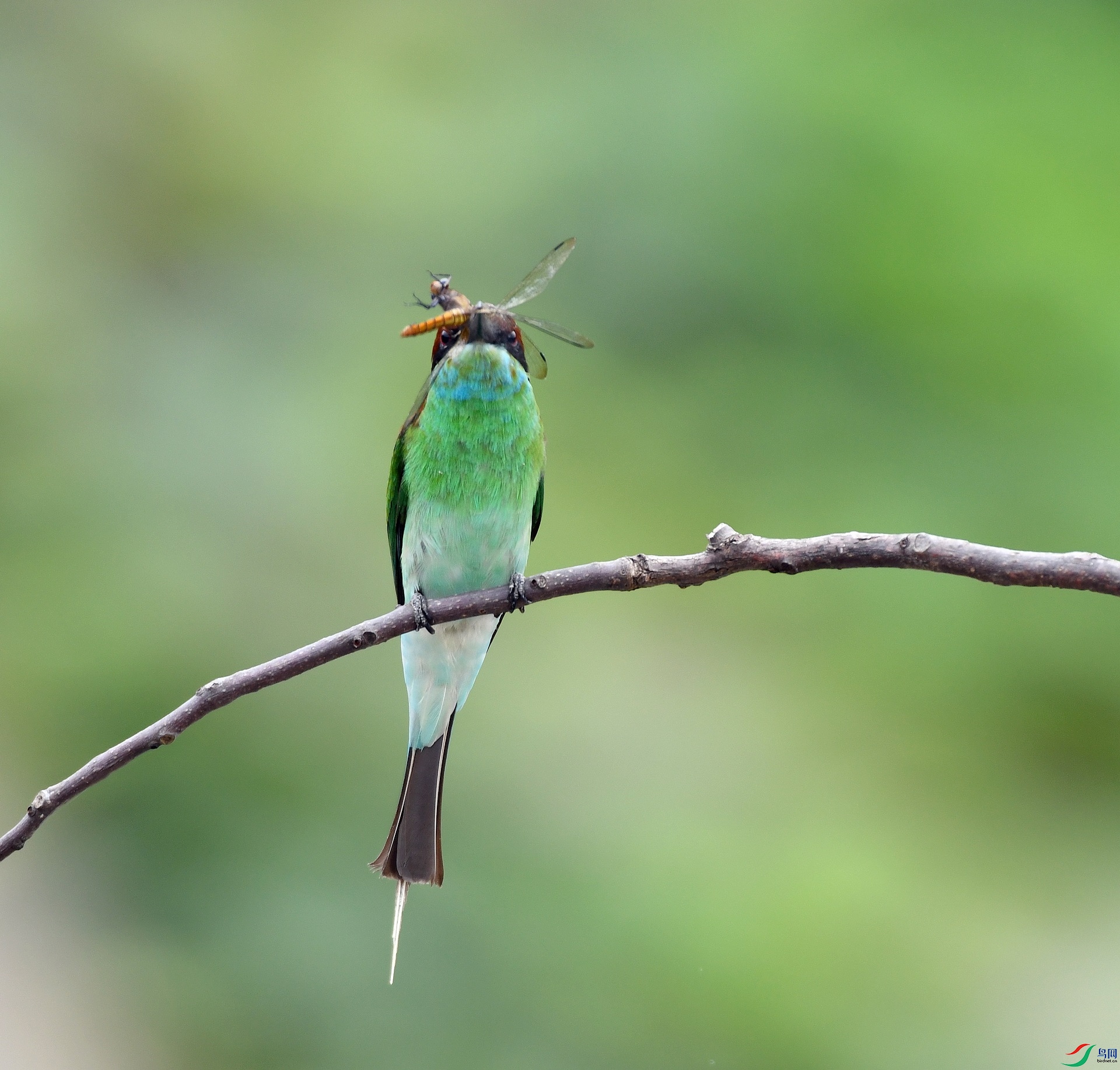 DSC_5973.jpg