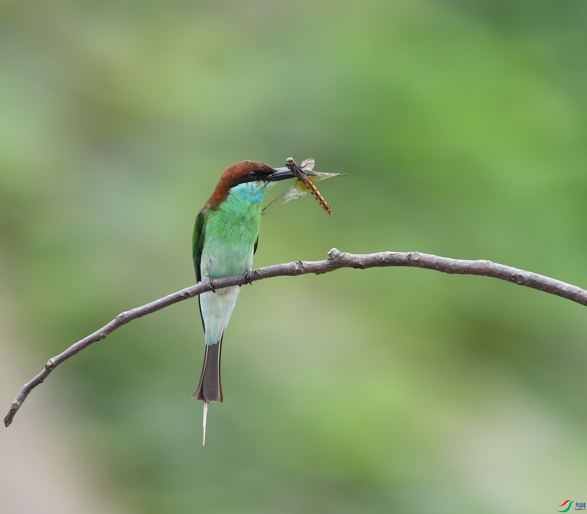 DSC_5967.jpg
