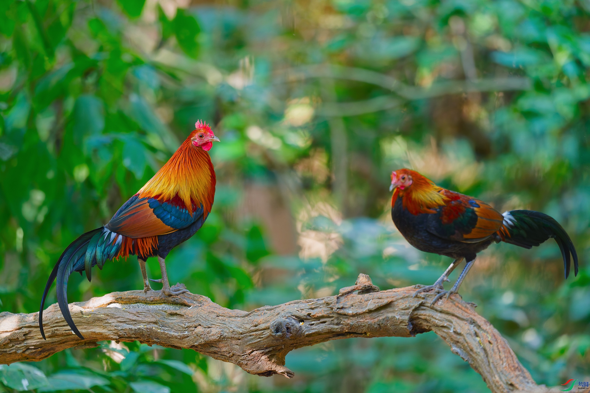 2DSC_7386_DxO_DxO.jpga.jpg