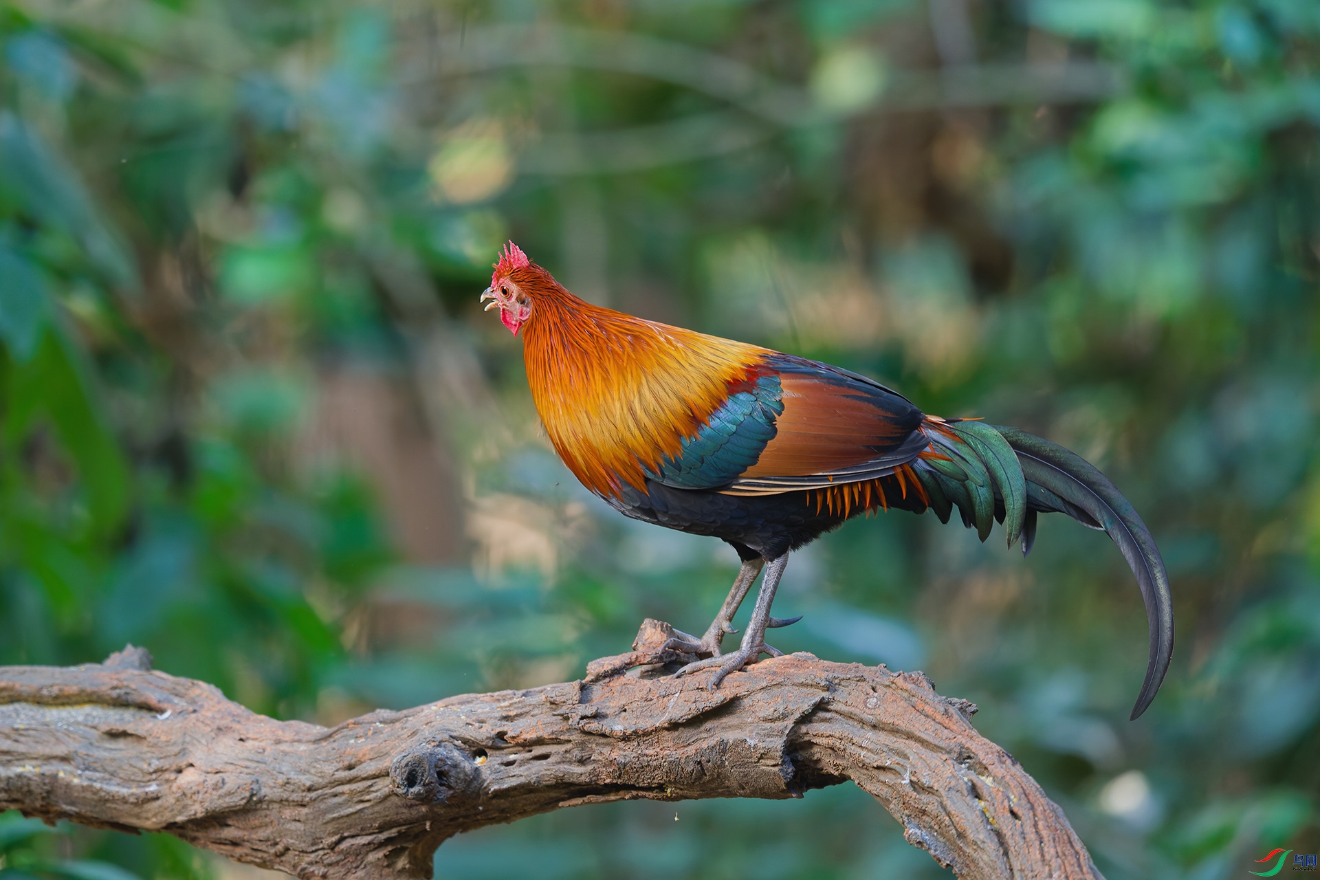 1DSC_7345_DxO_DxO.jpga.jpg
