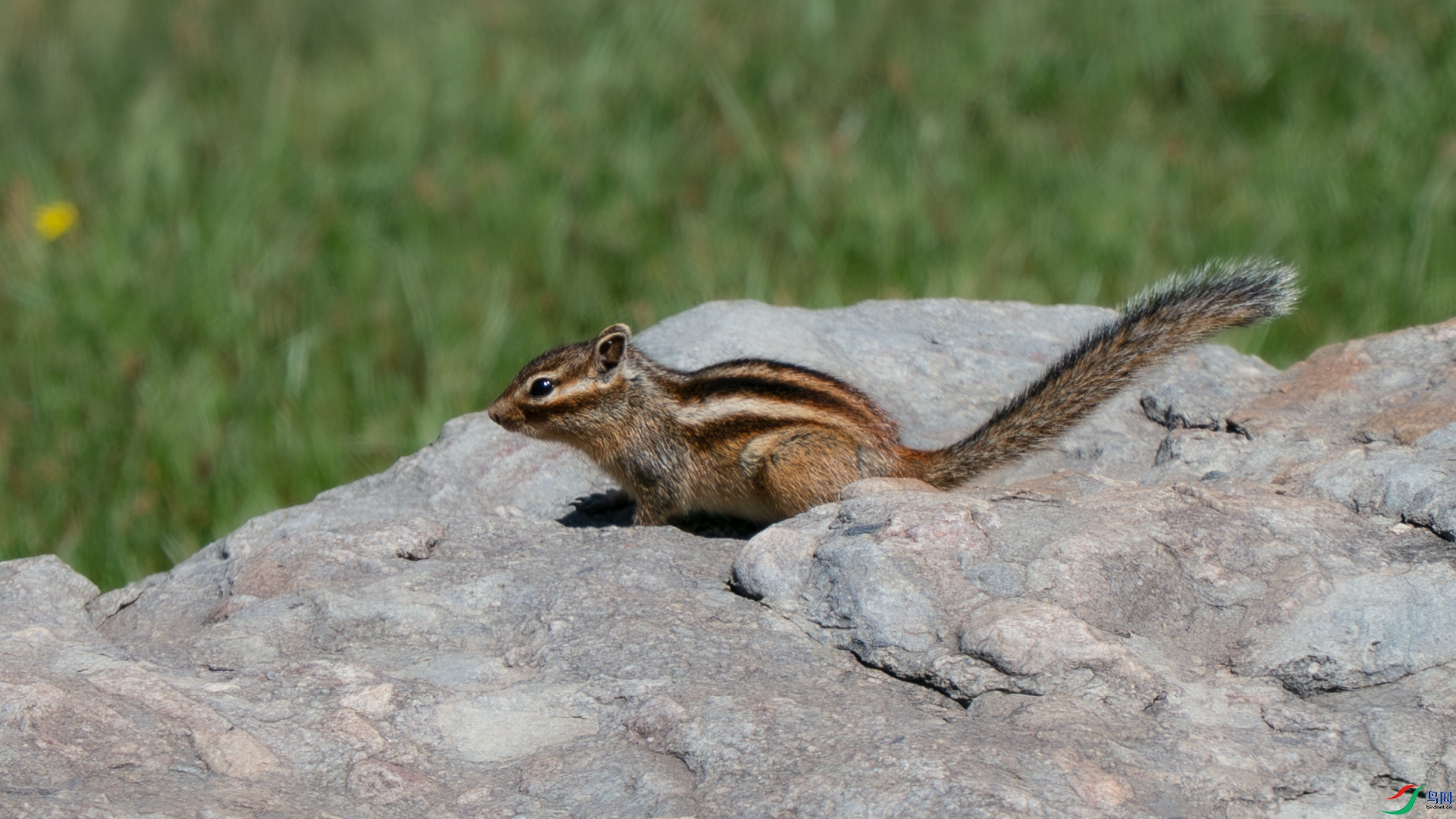 DSC07335.jpg