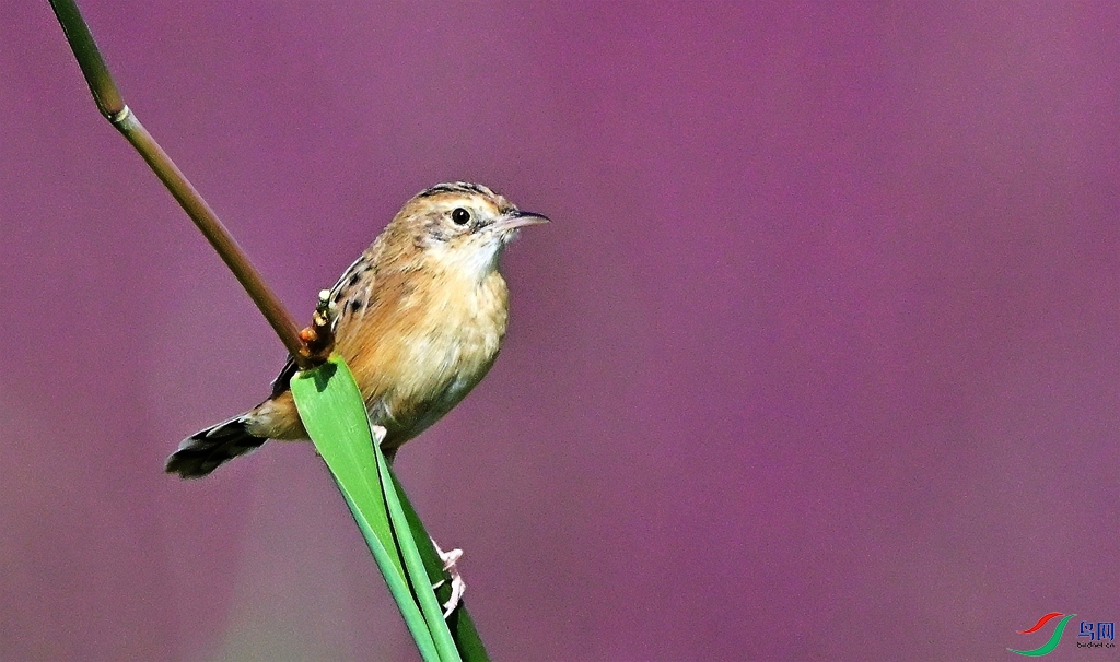 DSC_1572.JPG