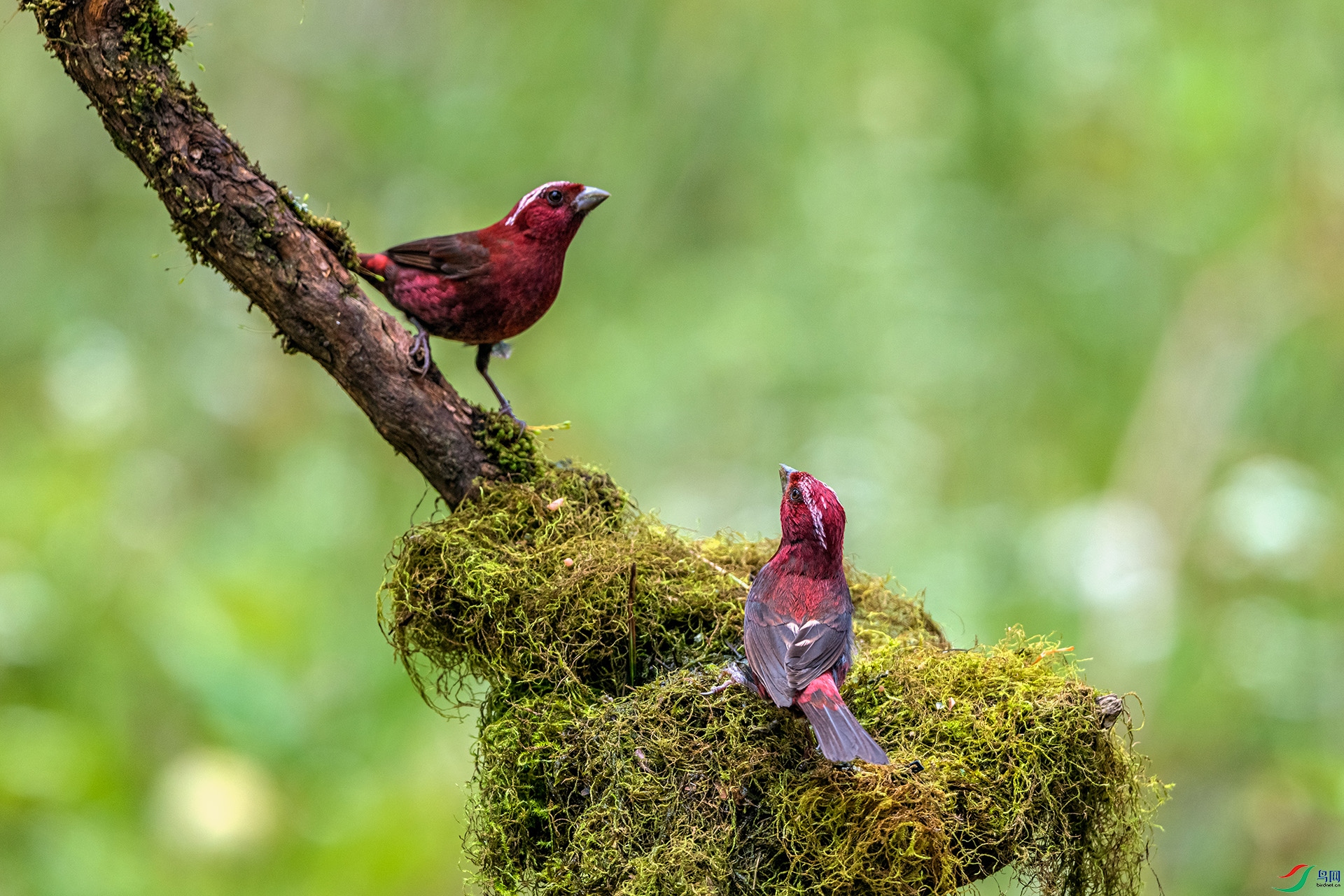 _AUU9623 �ƺ���ȸ(25.8.26).jpg