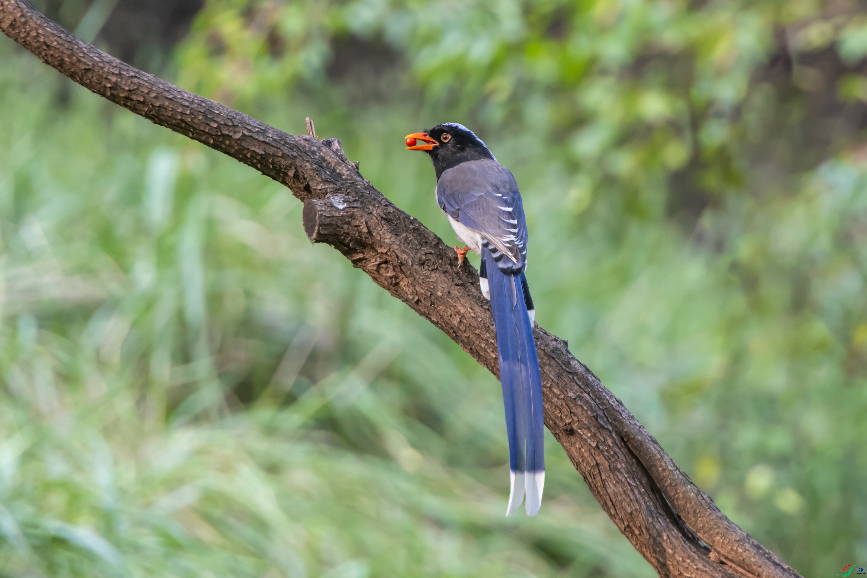 DSC_0847.jpg