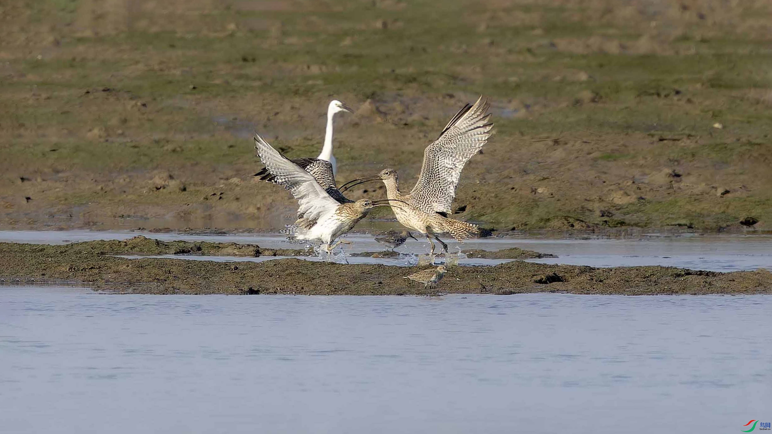 632A7787-.jpg