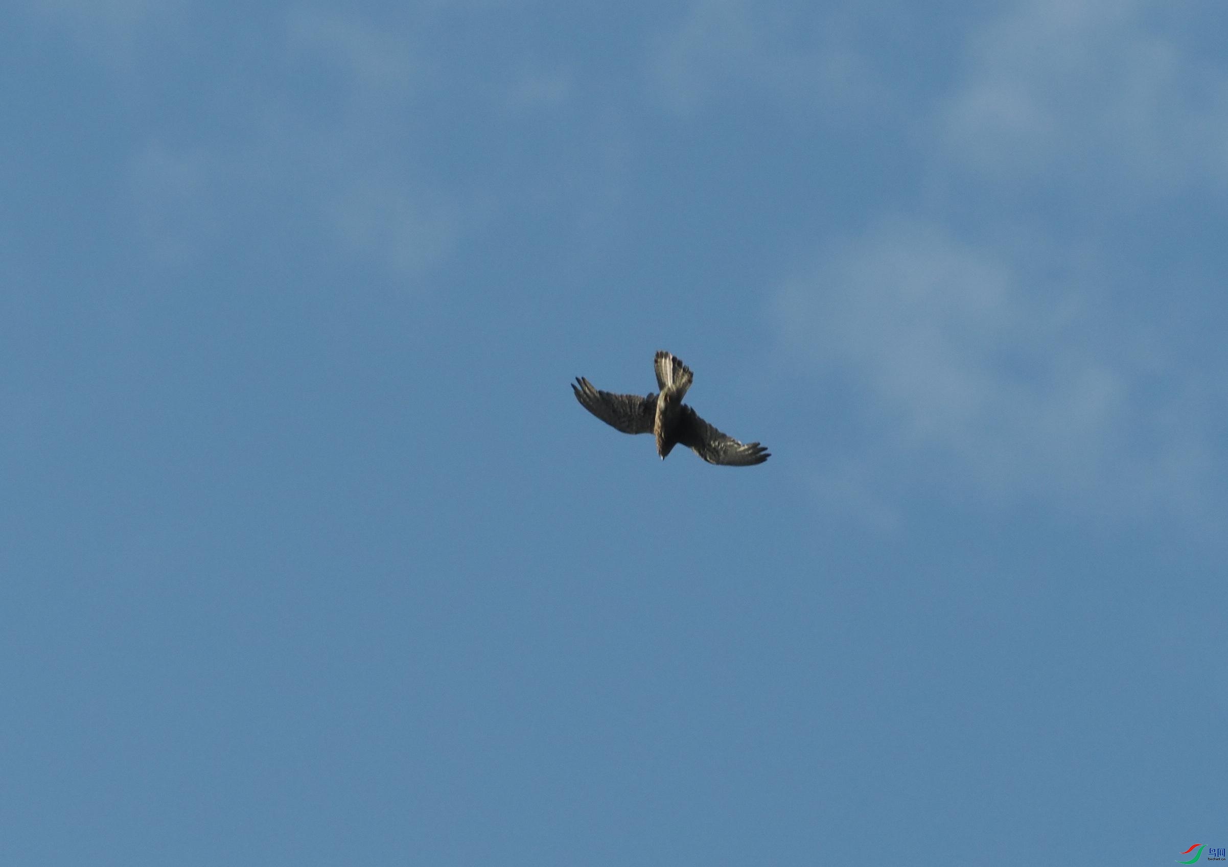 P7070187(1).jpg