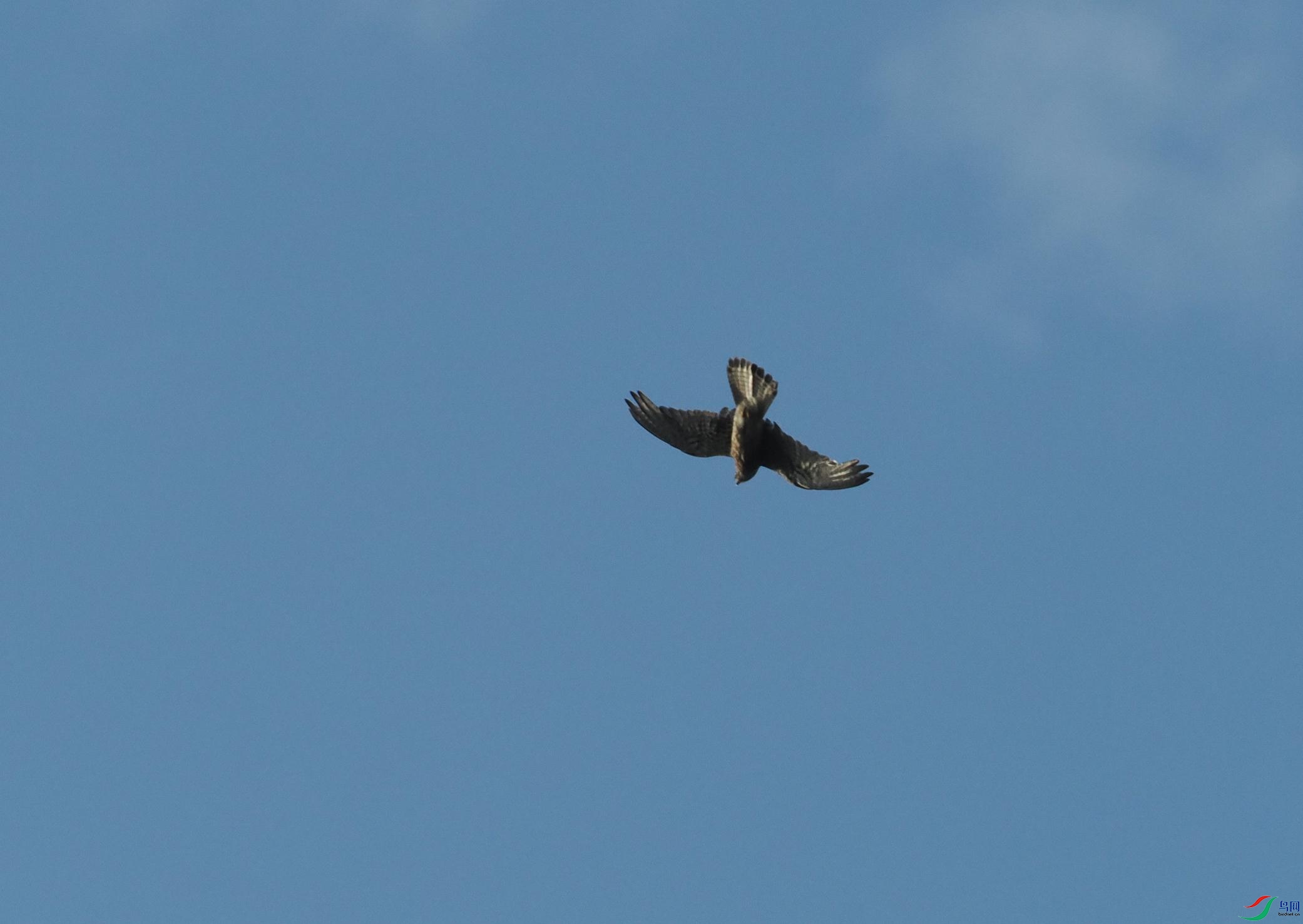 P7070188(1).jpg