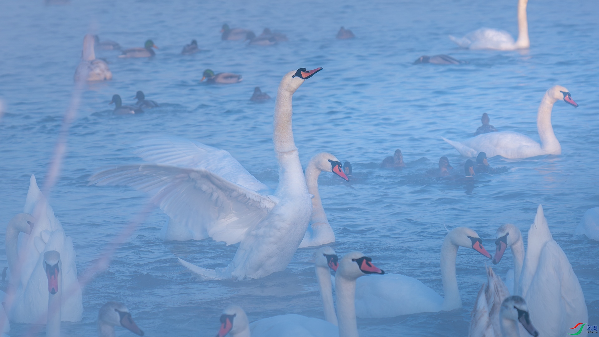 DSC05108-1.jpg