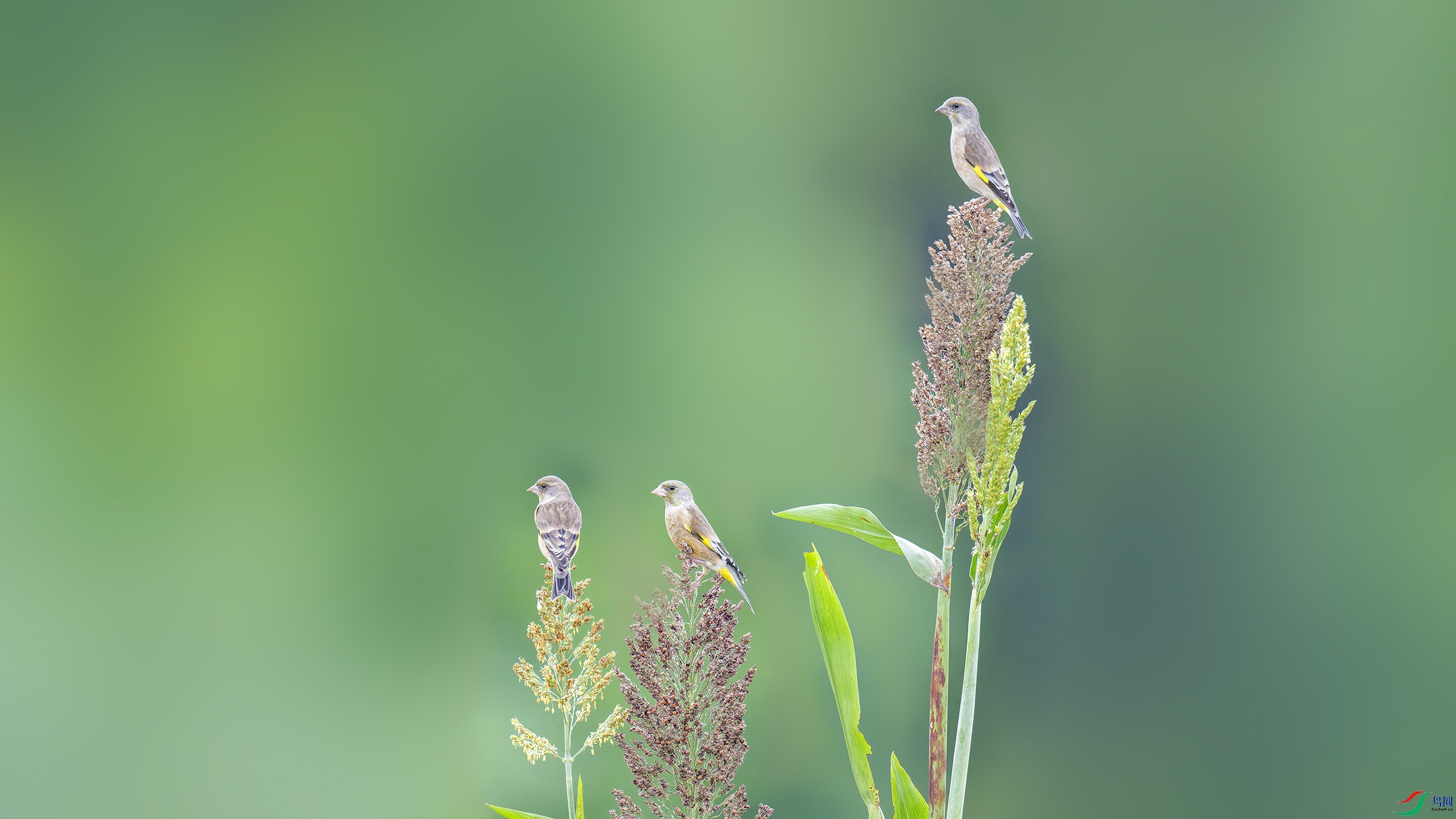DSC_4742_DxO.jpg