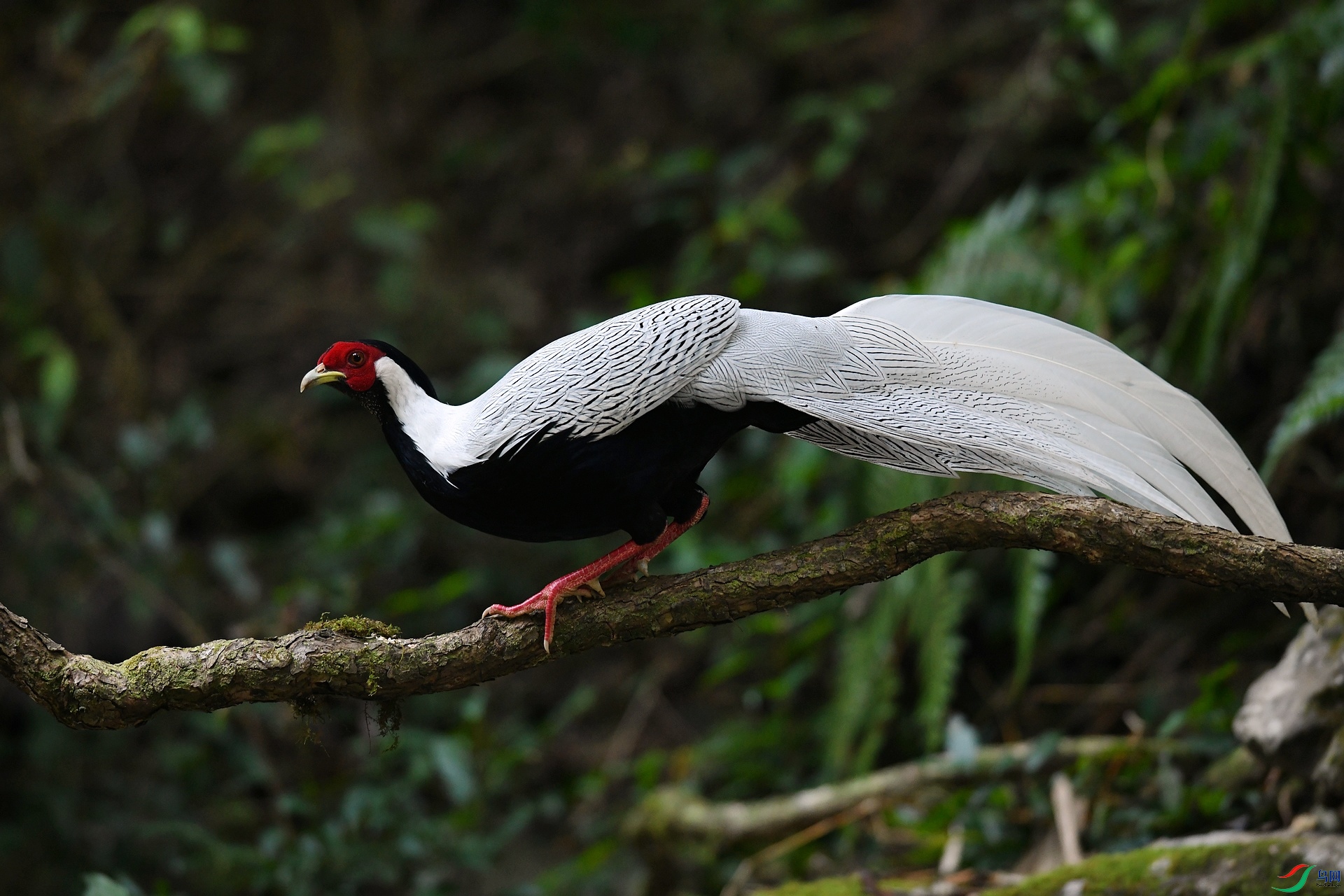 DSC_4648.jpg