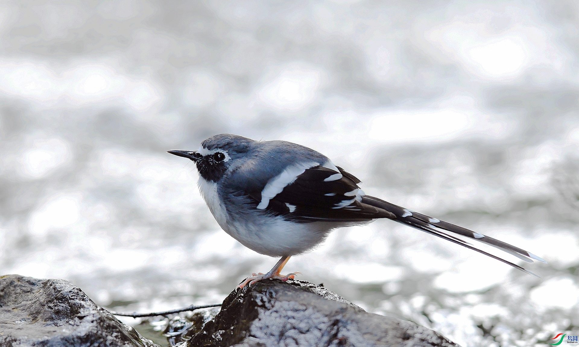 DSC_4895.jpg