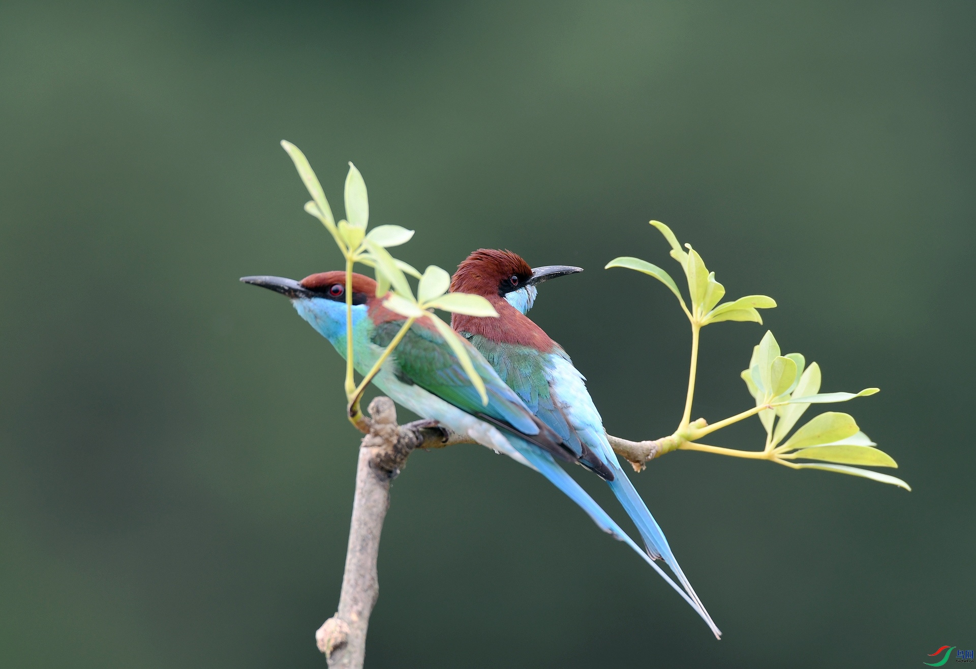 DSC_2841.jpg