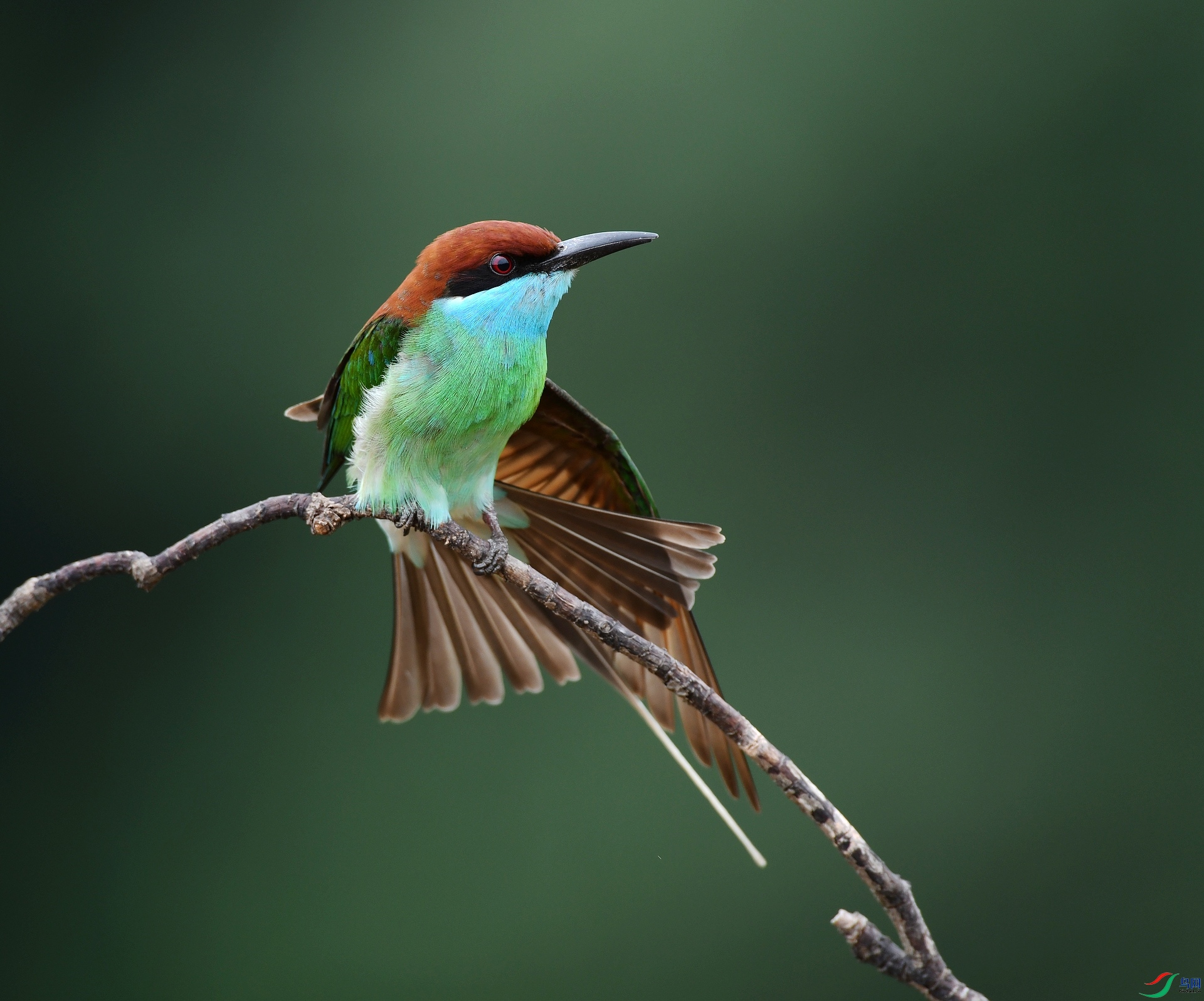 DSC_2821.jpg