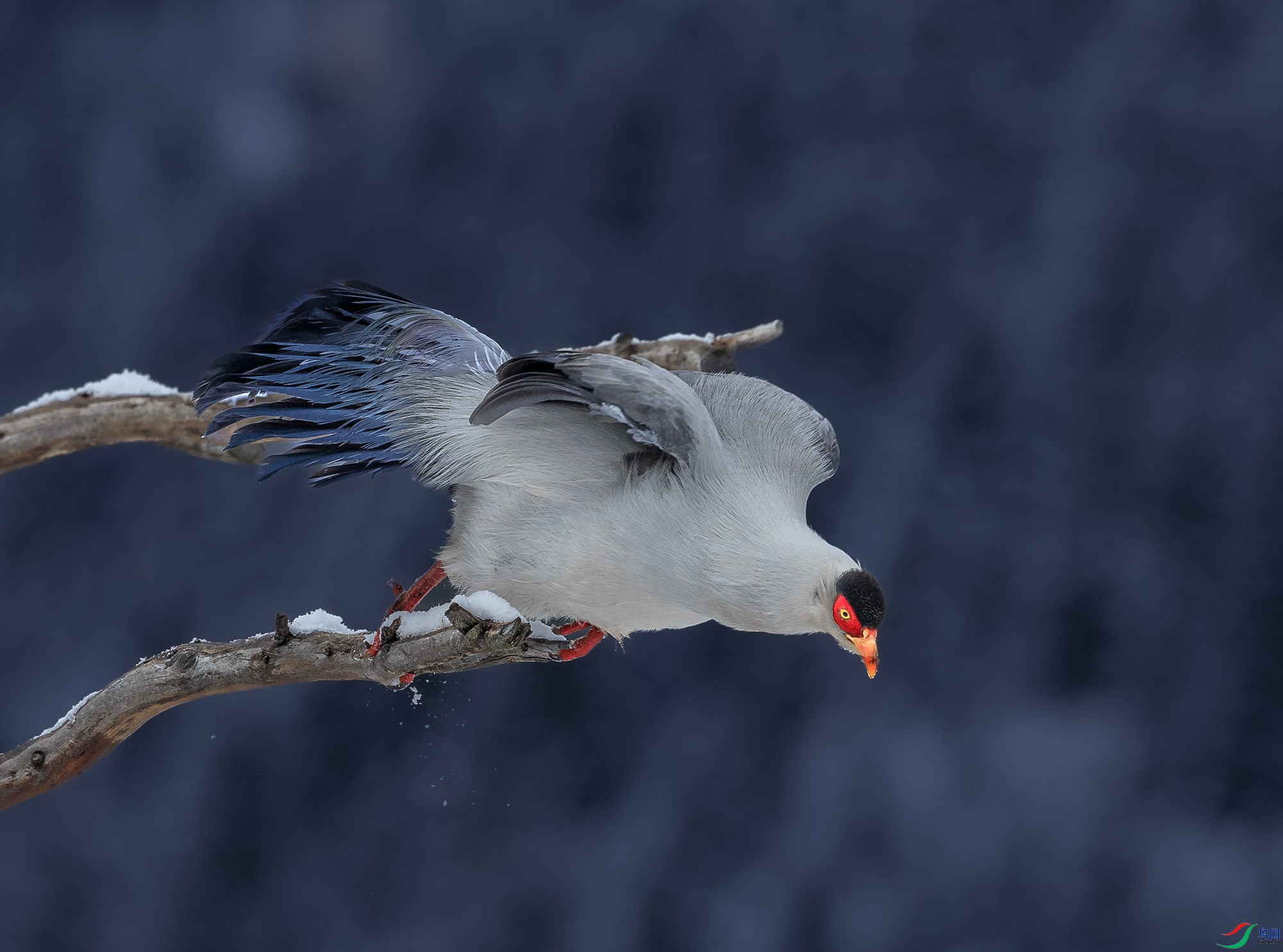 ������1_J1R6380-1.jpg