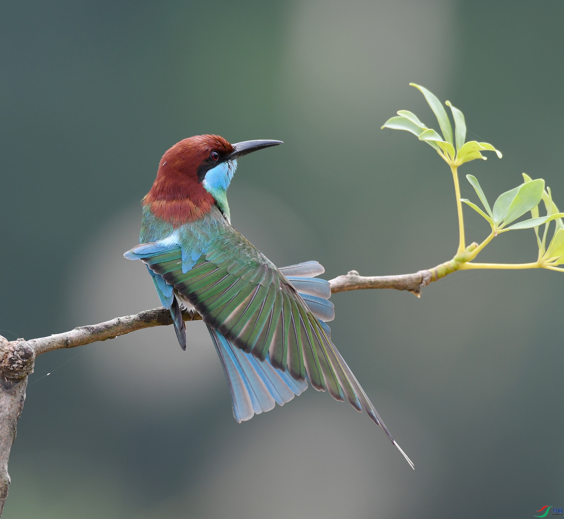 DSC_4030.jpg