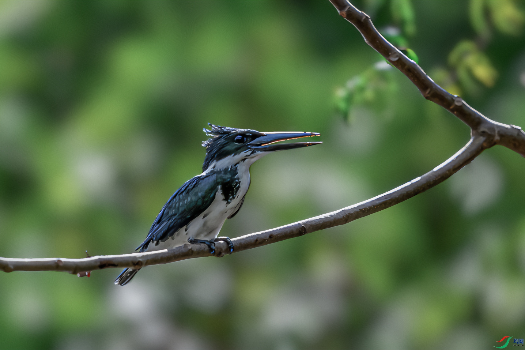 _DSC3600-11.jpg