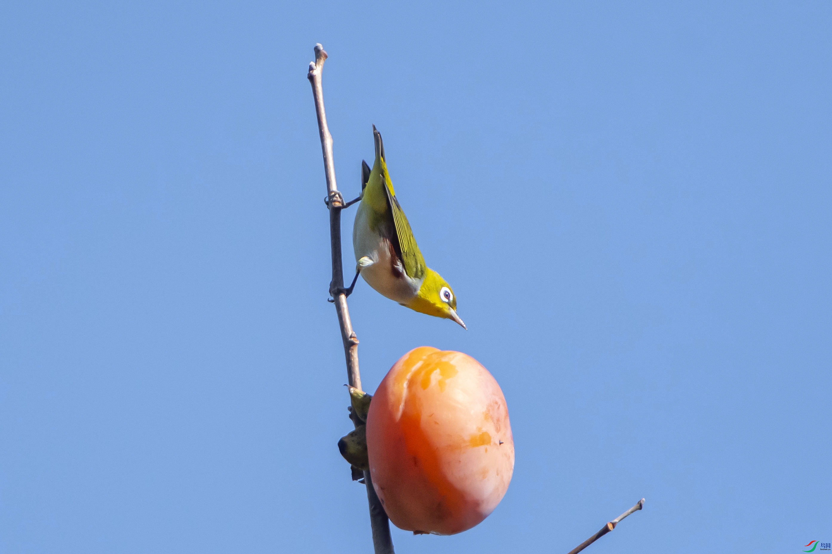 DSC_1880.jpg