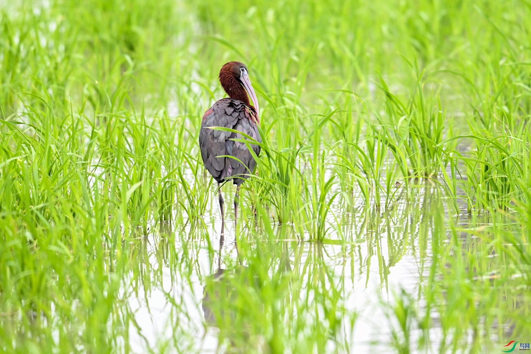 DSC_8355.JPG
