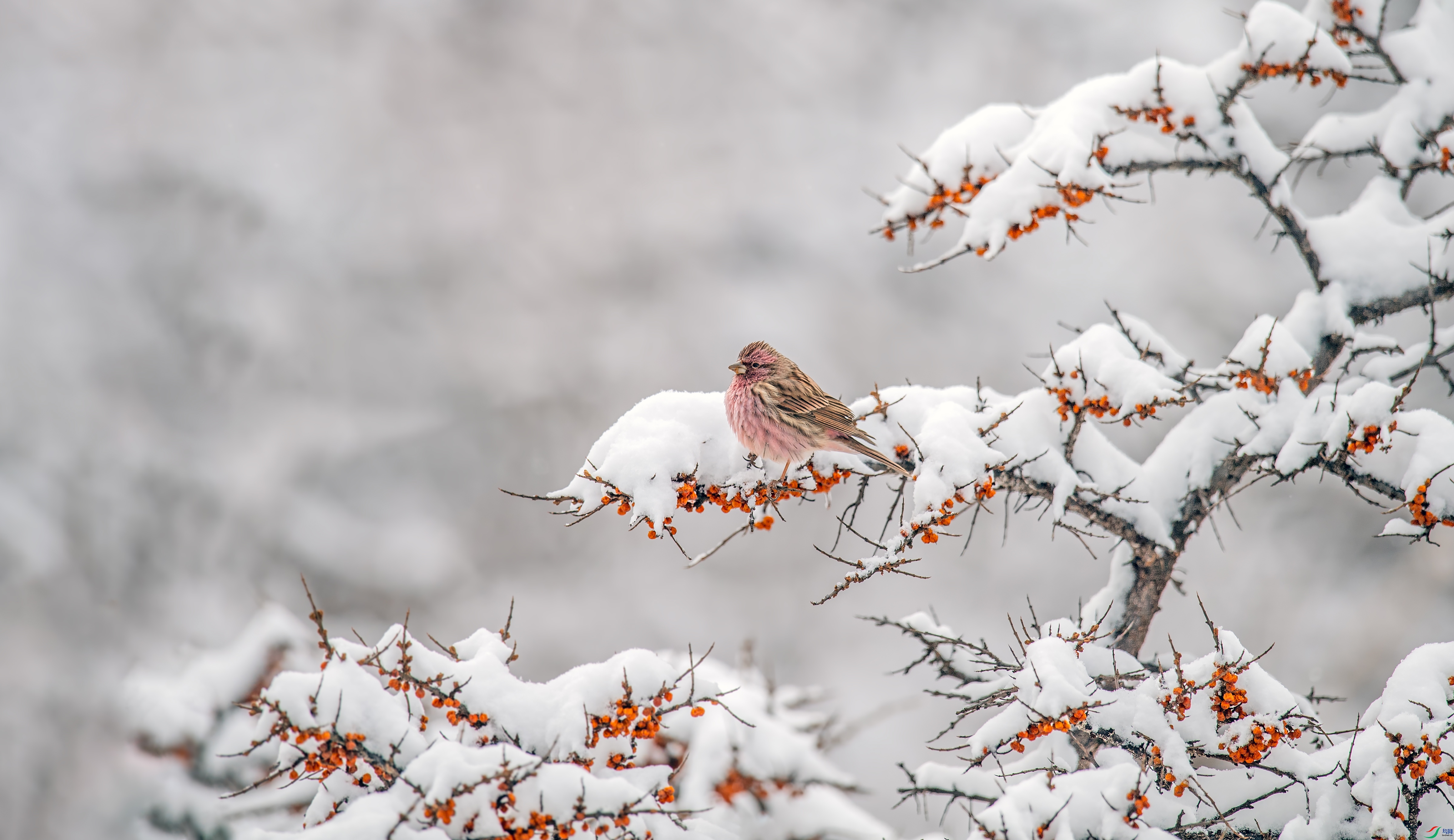 _DSC8289_��ͼ��.jpg