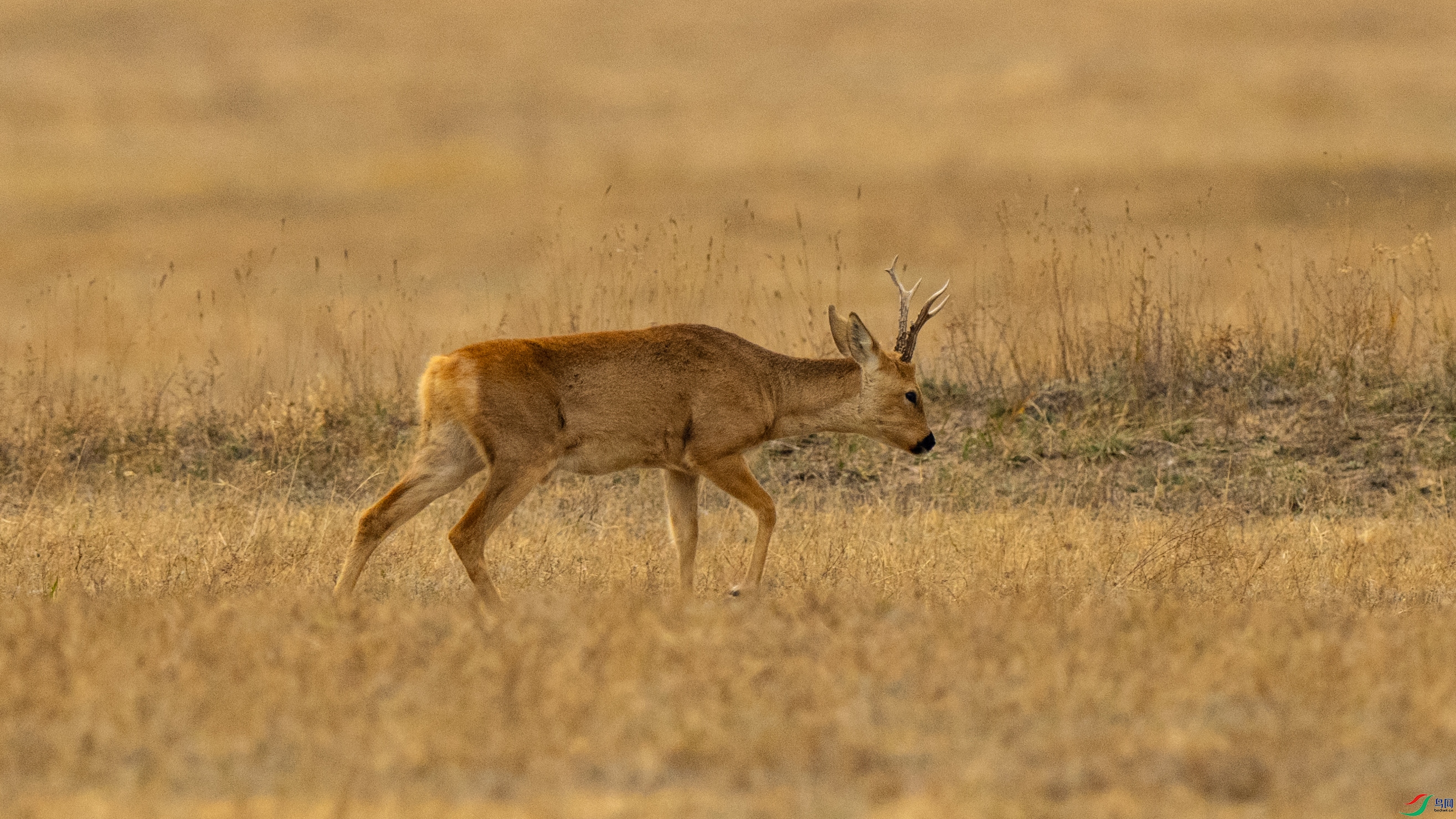DSC_7900.jpg