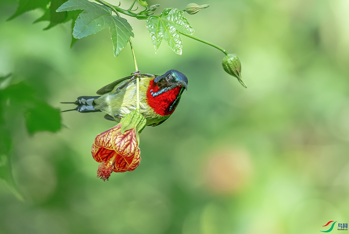 DSC_2007-����ǿ.jpg