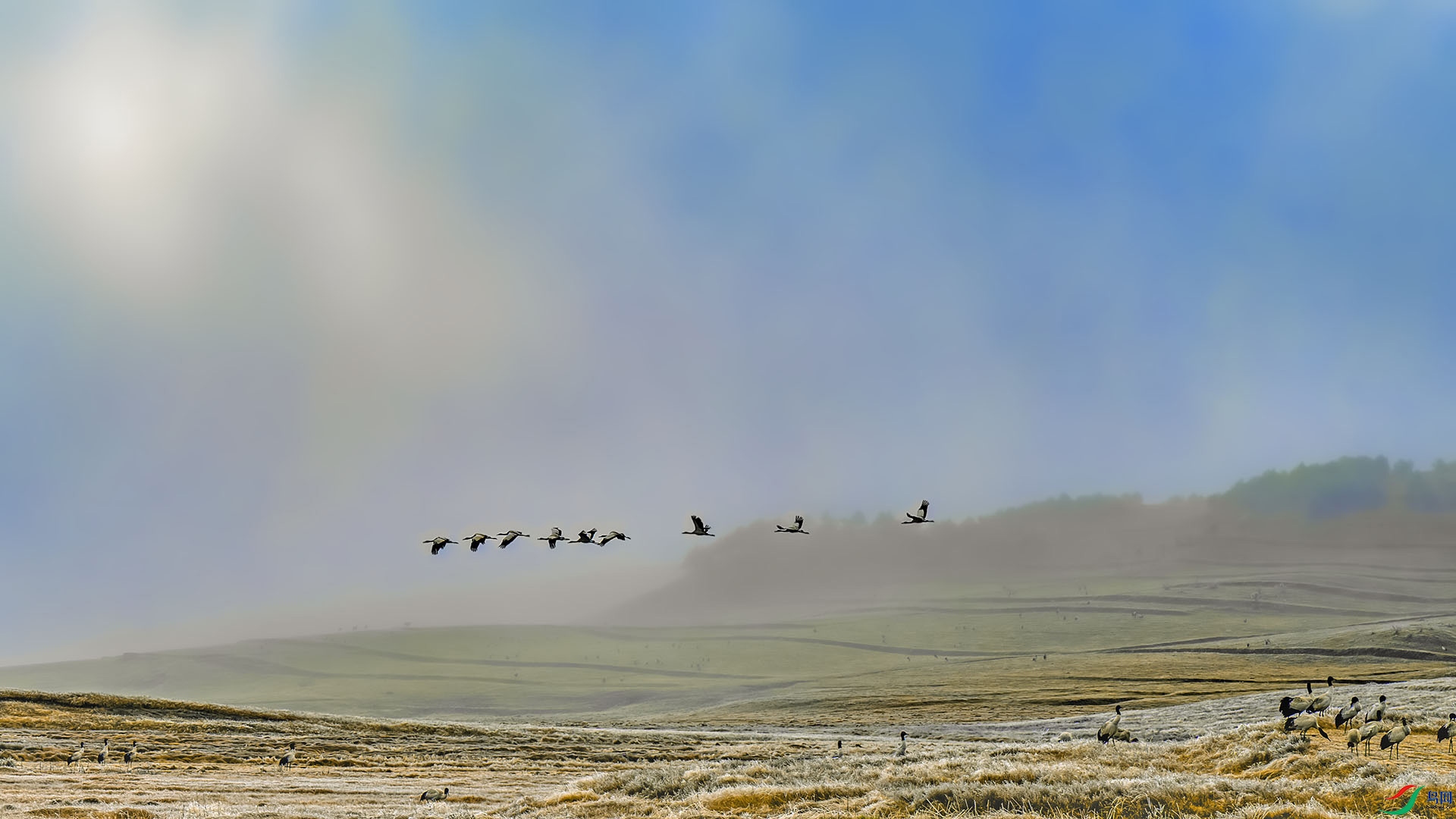 DSC_7033-�ָ���.jpg
