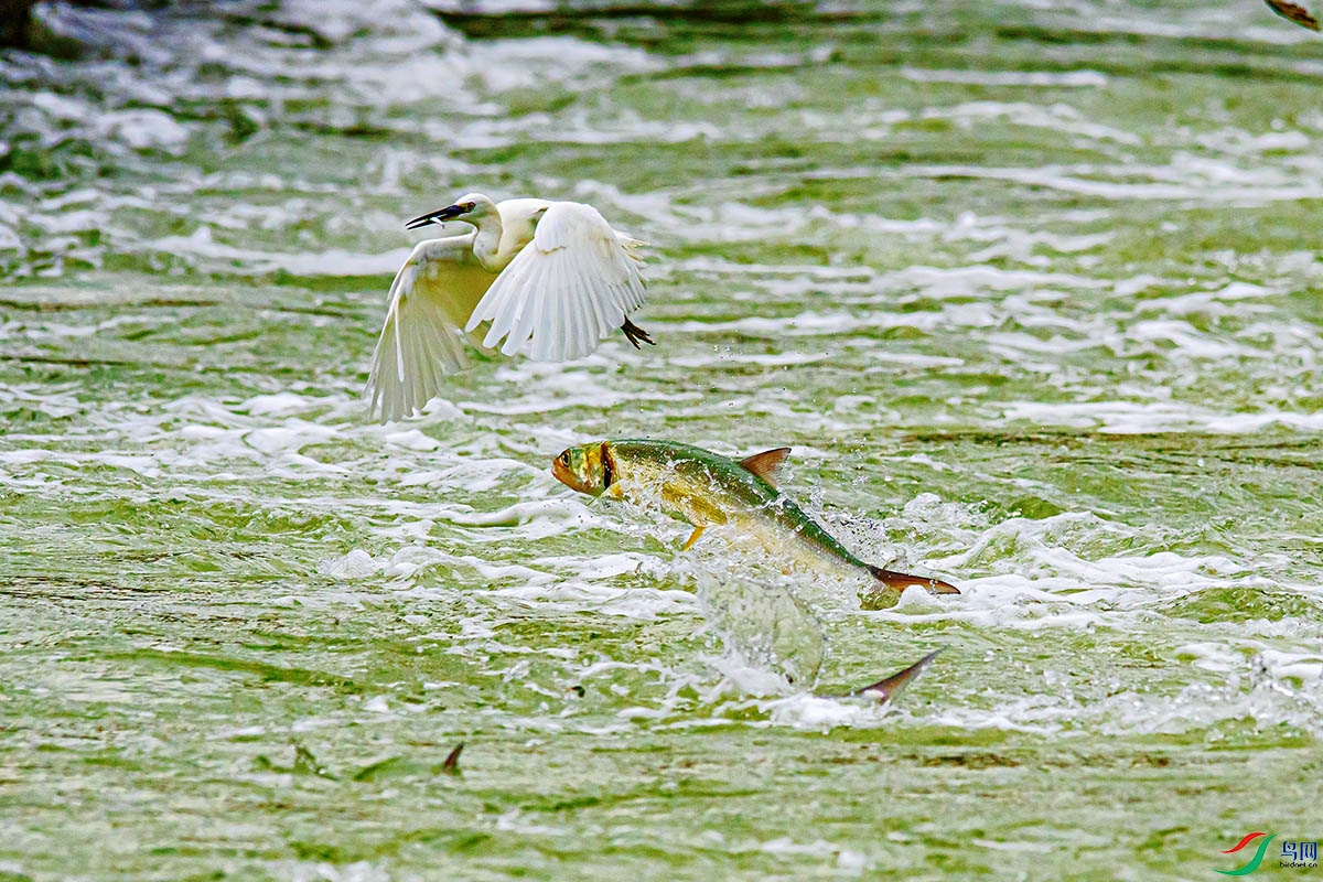 DSC_5207.jpg